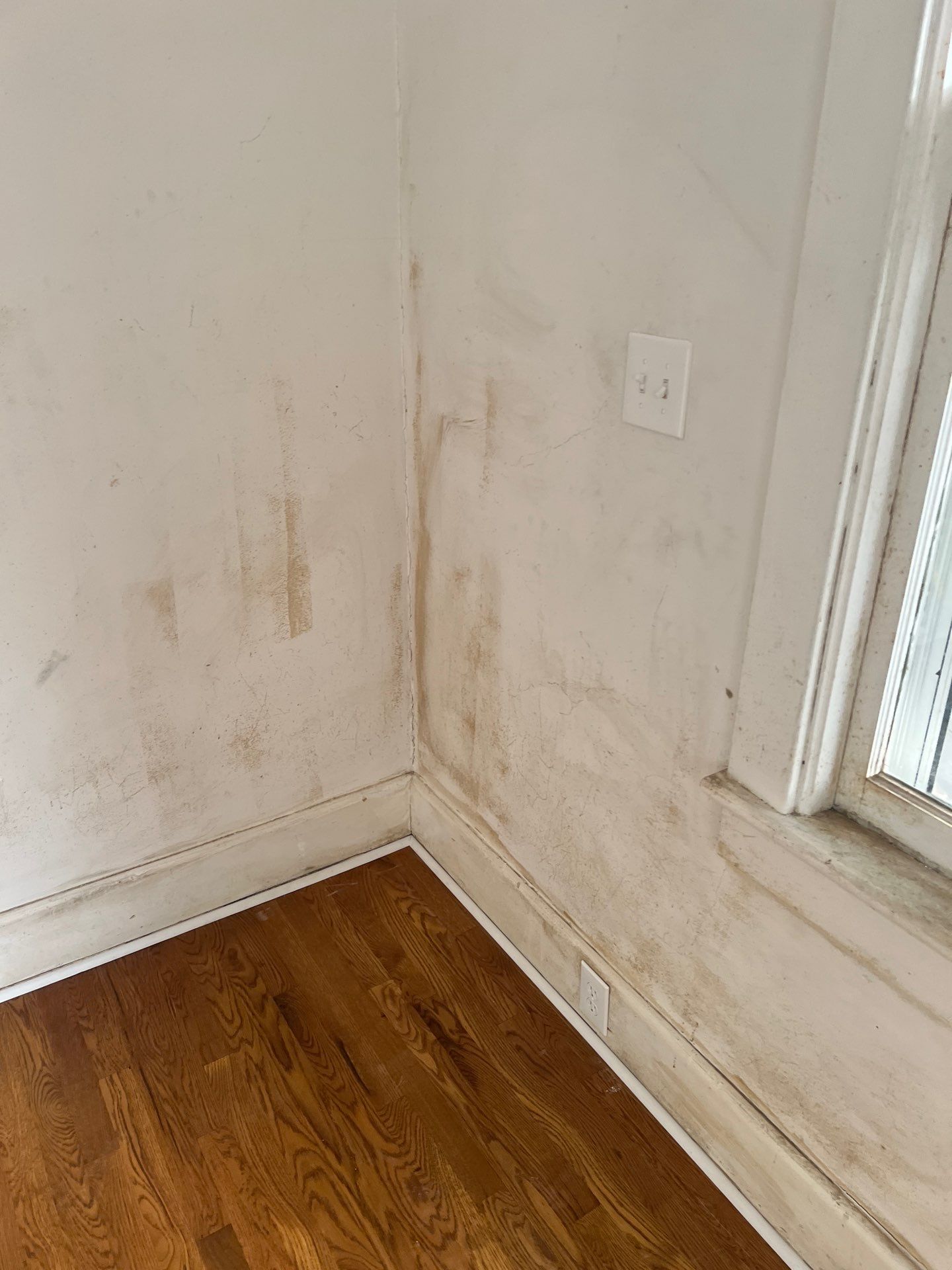 Interior Remodel  by Magic Painting