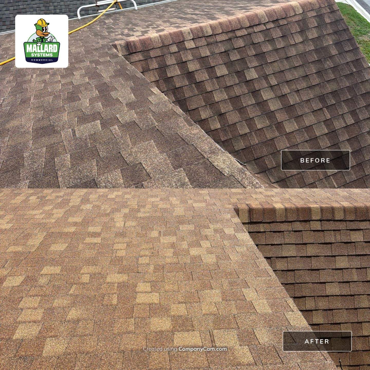 Residential Shingle Roof Cleaning in Waterford Lakes by Mallard Systems