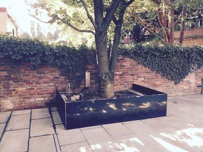 Custom Steel Tree Boxes & Planters – Urban Landscaping – Washington, DC