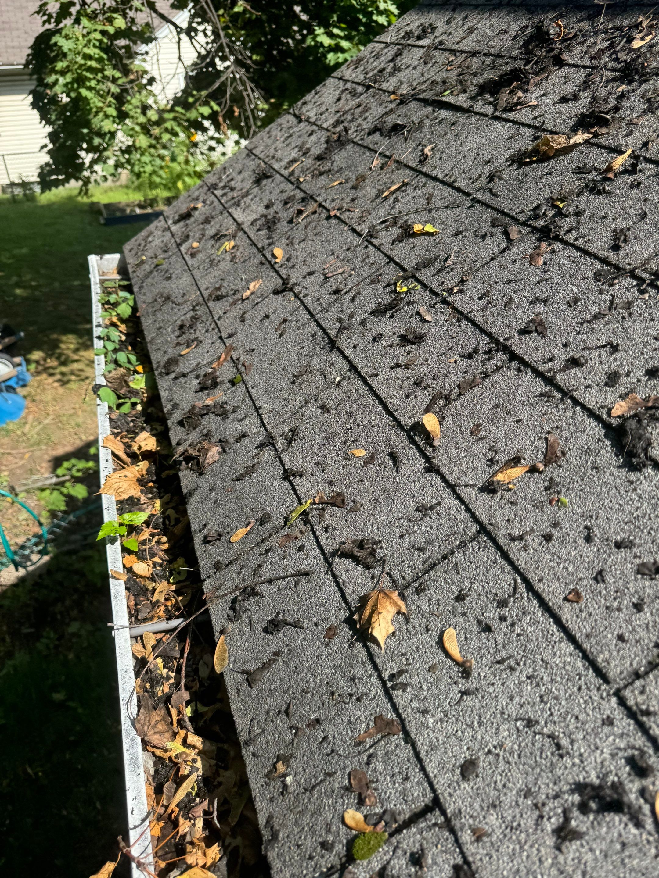 HOA gutter cleaning before photo.