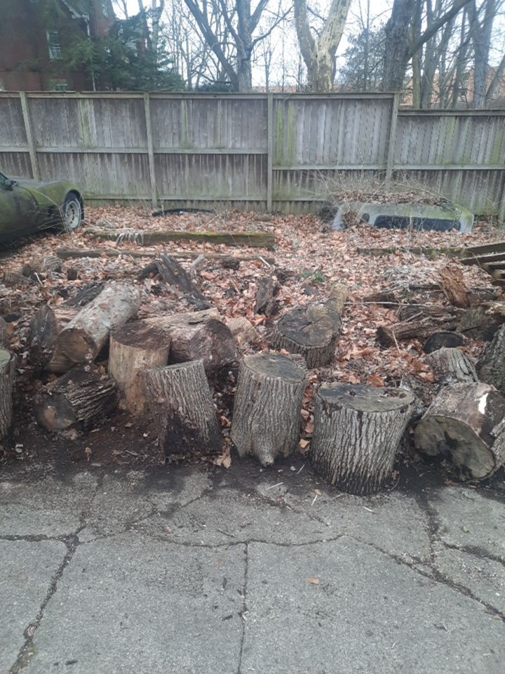 Firewood Delivery  using Seasoned Firewood by Mike Jones & Sons Tree Service LLC 