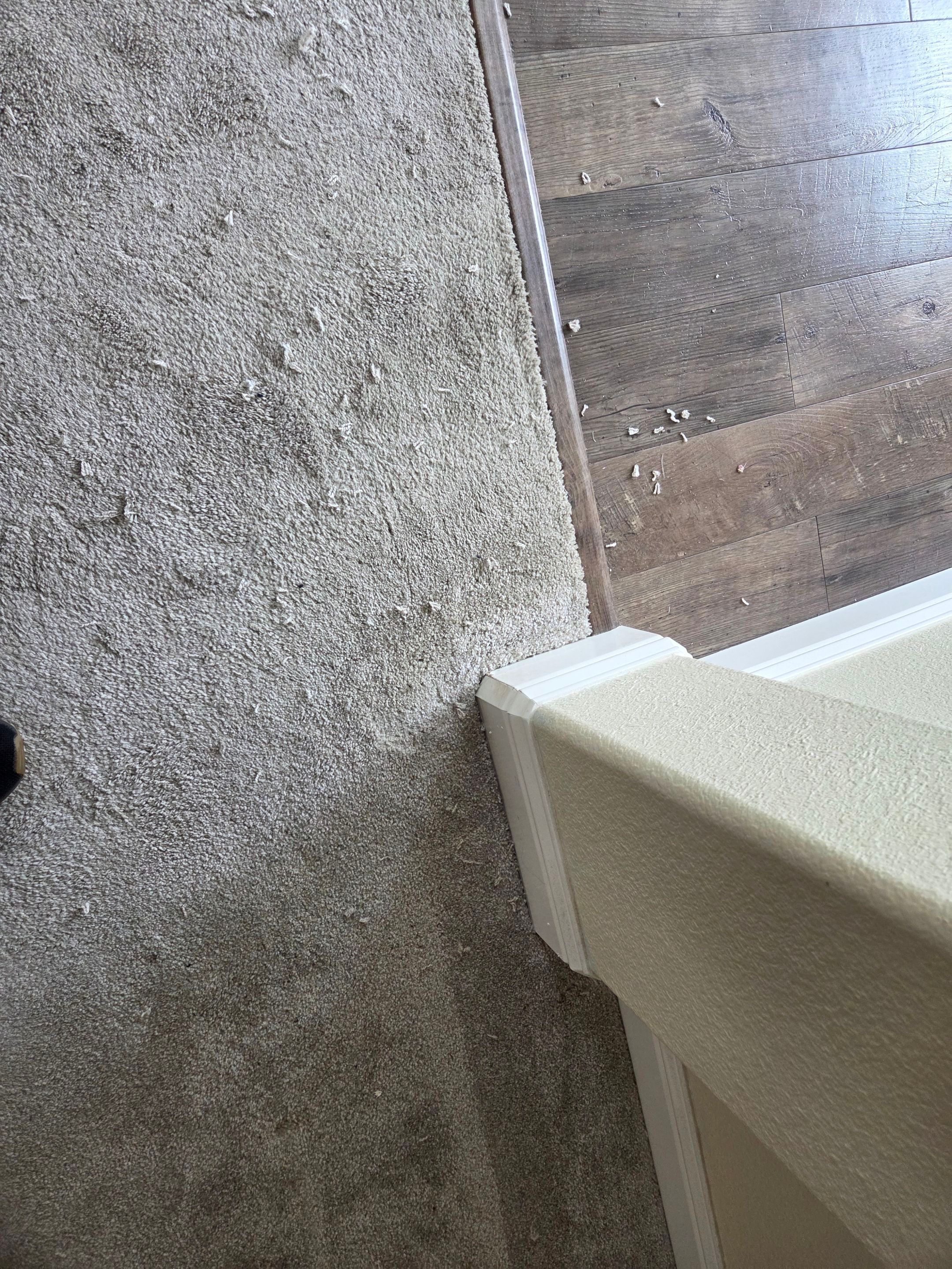 Carmichael Carpet Re-stretching and Cleaning by Ardent Carpet Restore LLC