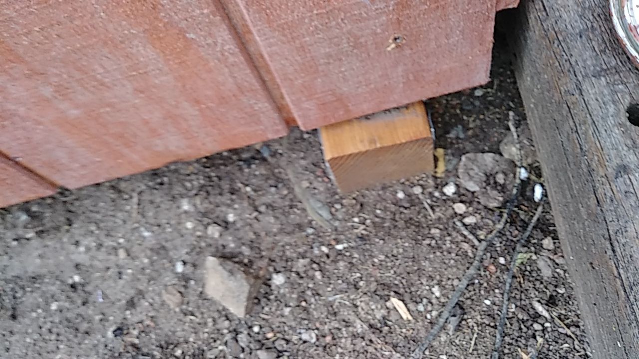 Deck Rehab by Rio Grande Building & Storage