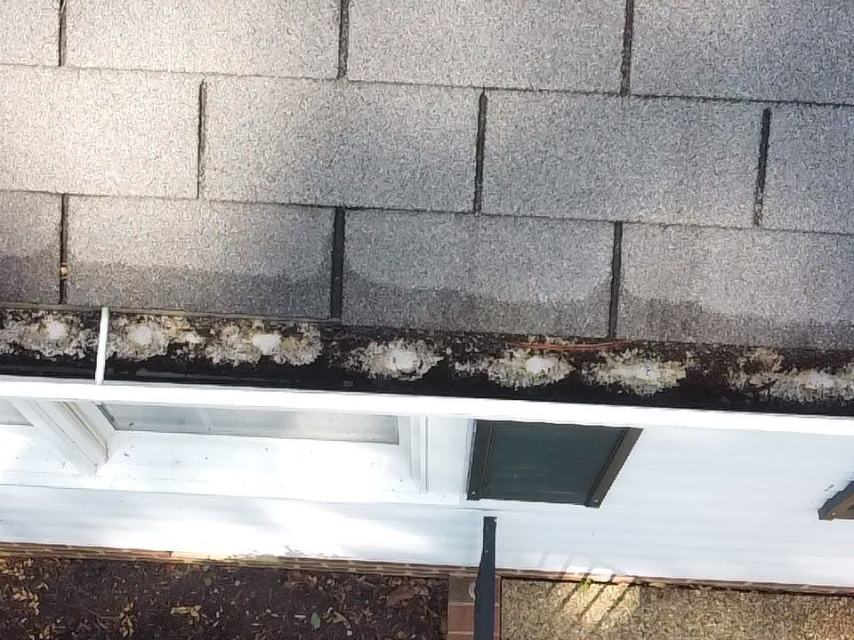 Project in Manakin Sabot by Roof Maxx of Midlothian