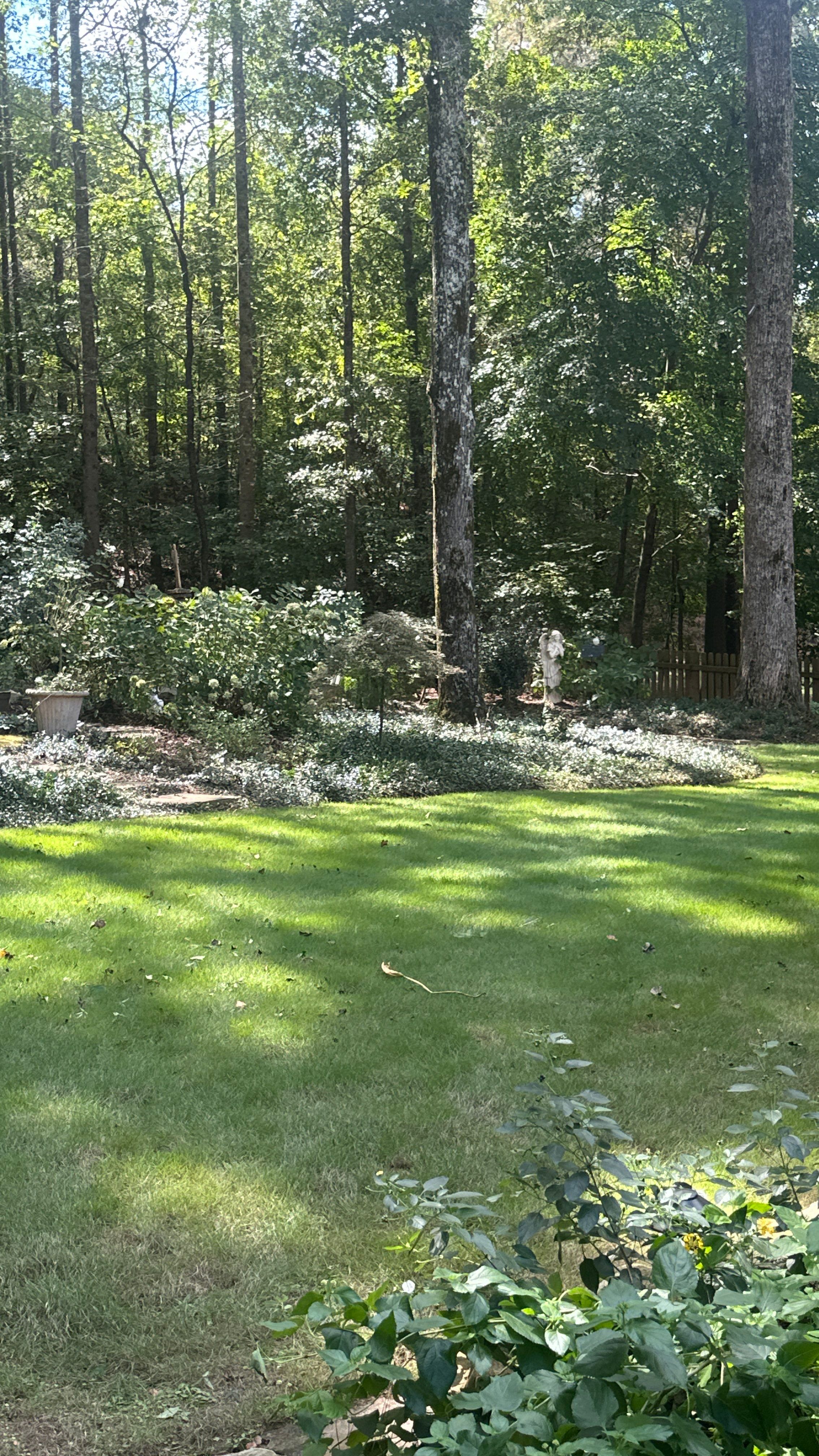 Custom Landscape Transformation and Hardscape Installation in Birmingham by NATURE ONE - LANDSCAPE DESIGN