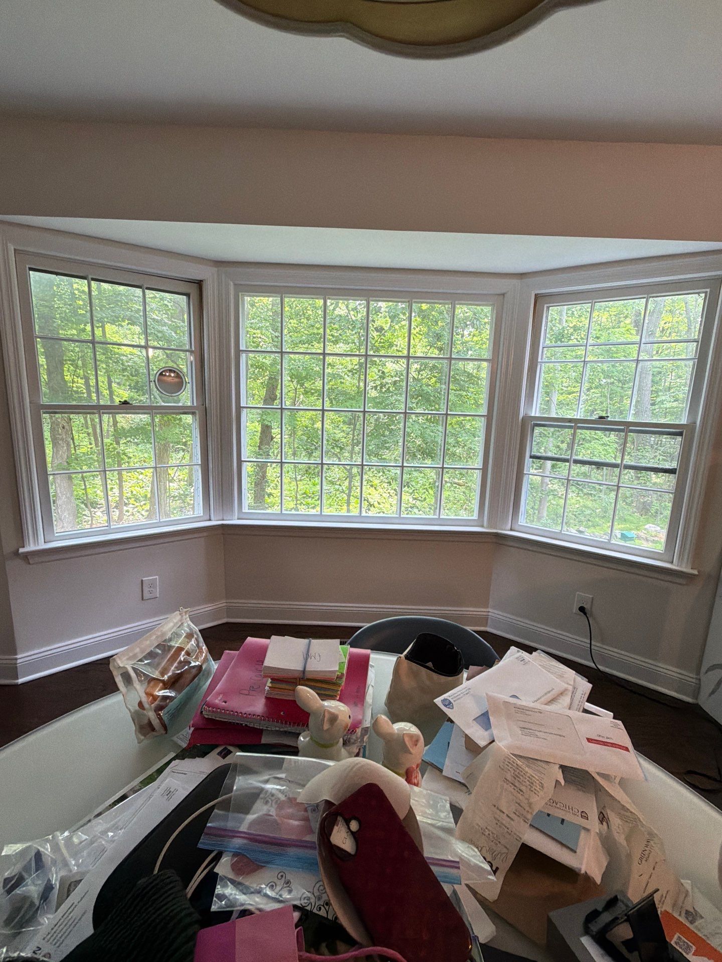 Full House Window Transformation  by DiGiorgi Roofing and Siding Inc