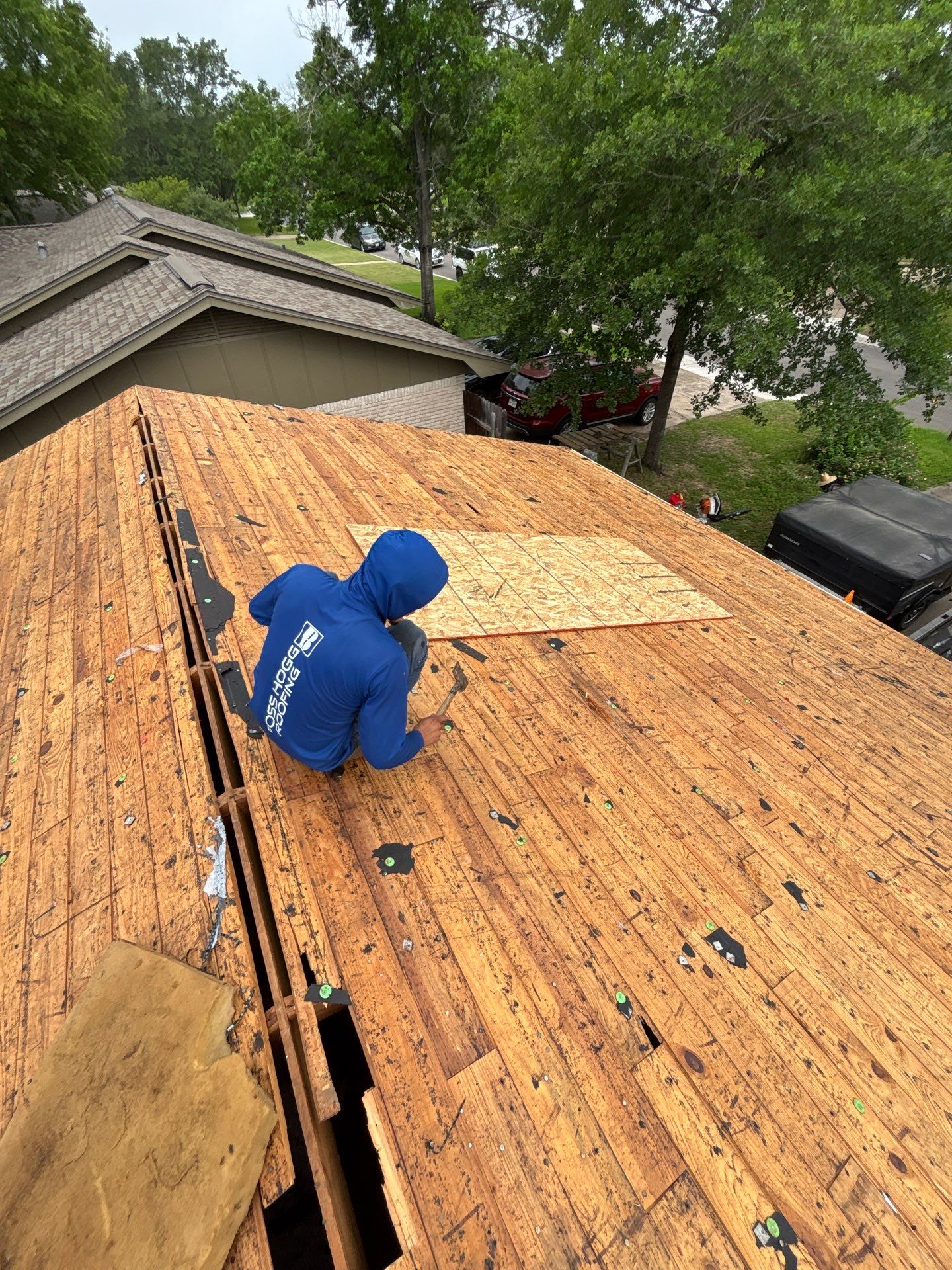 TRAVIS W by Boss Hogg Roofing