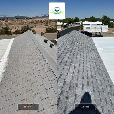 Silver Birch Shingles