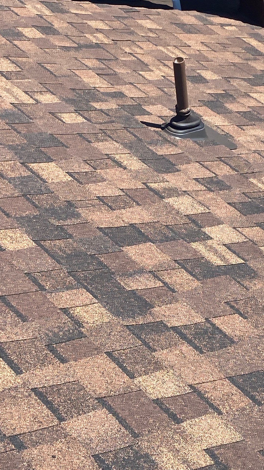 Alexandria: Roof Replacement with CertainTeed Landmark Pro in Max Def Burnt Sienna by RM Banning, Inc.