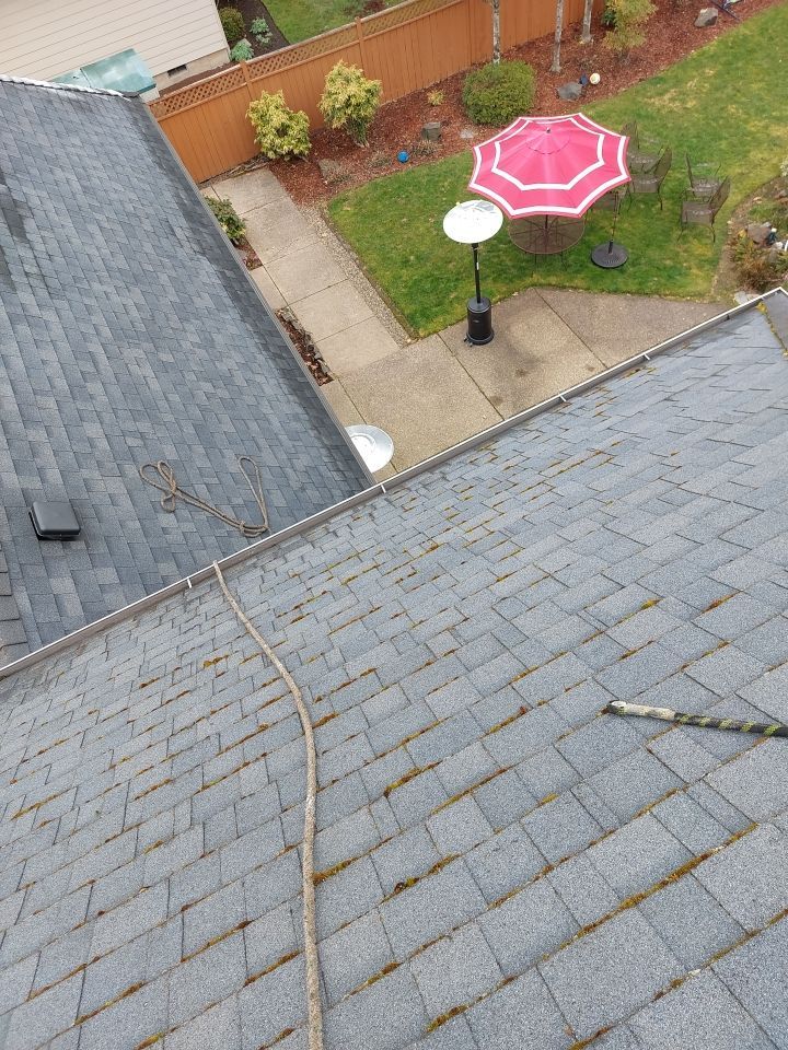 Roof Cleaning  using Moss Treatment  by BEST Roofing & Waterproofing