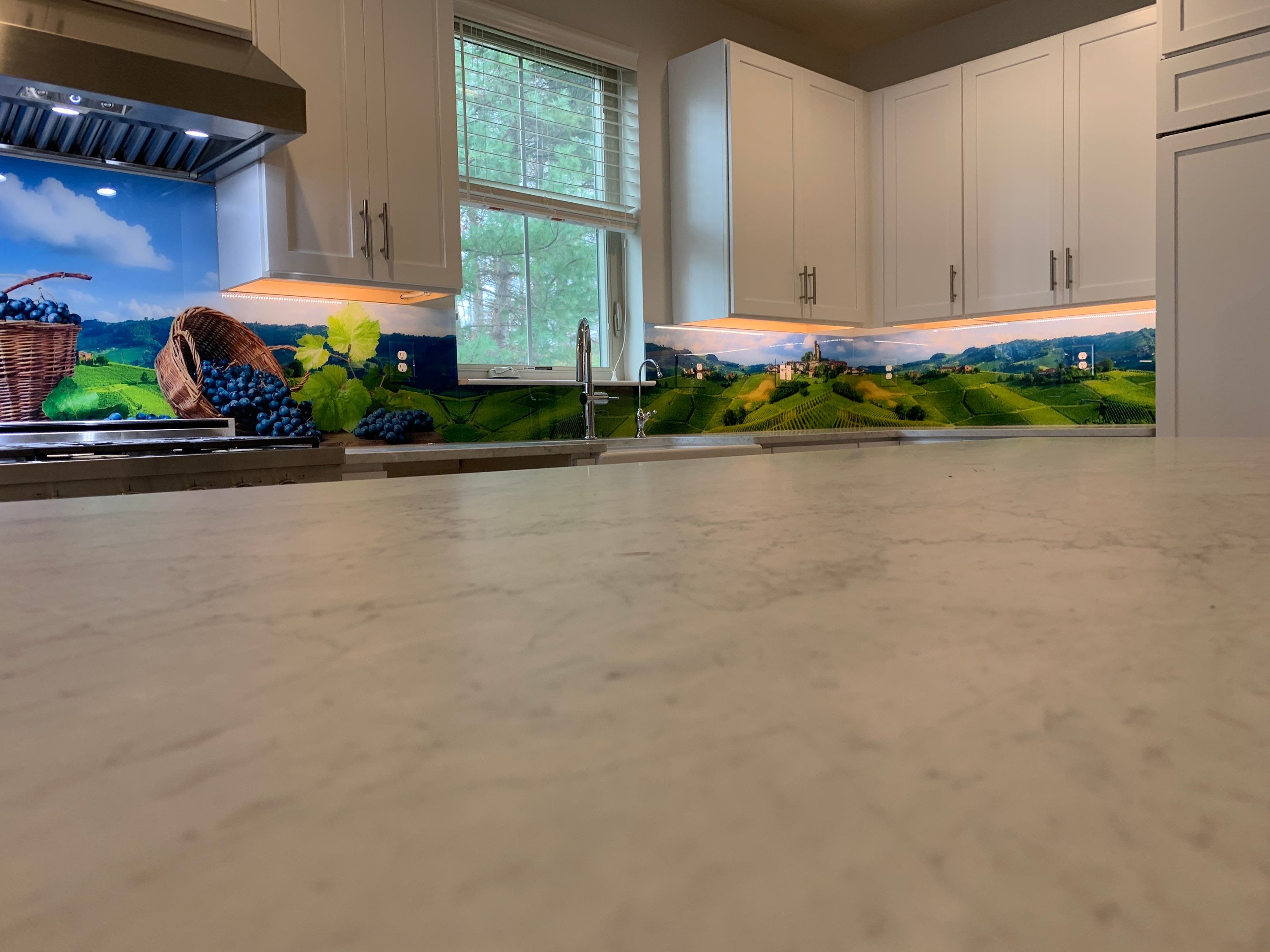 Kitchen Remodel using Italian Vinyard IMAGIO Solid Glass Backsplash by IMAGIO