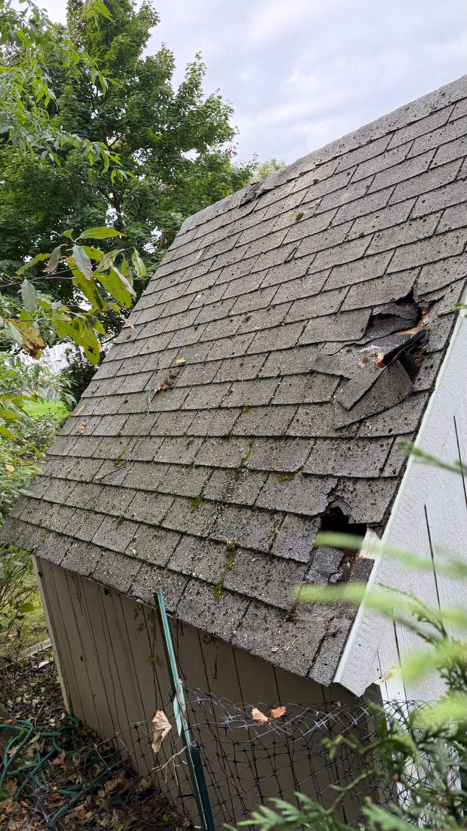 Asphalt Shingle Shed Roof Replacement and Sheathing Repair in Warrington by Stofan Construction LLC