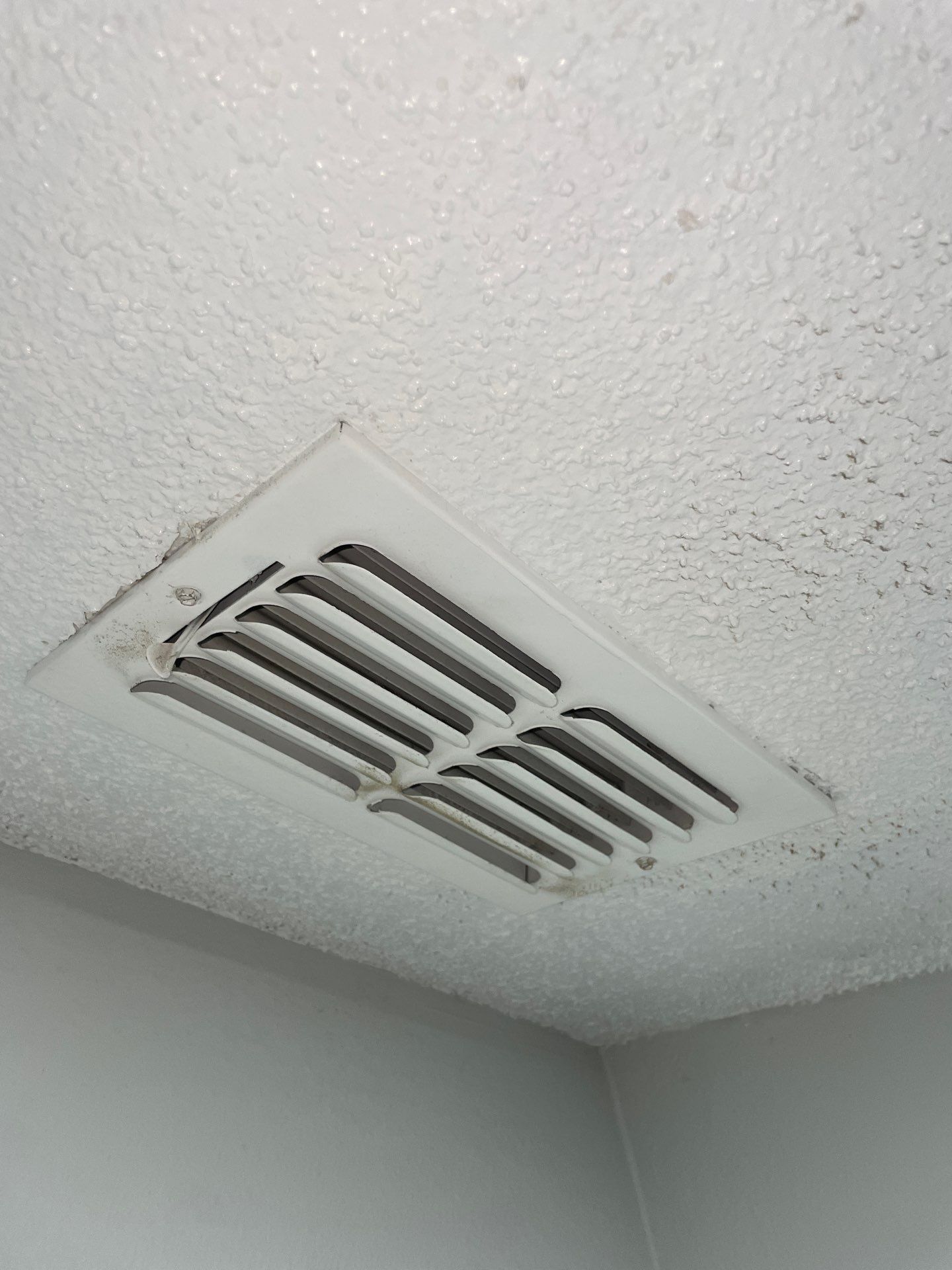 Air Duct Source Removal — Clermont by Hygienic Air, Inc