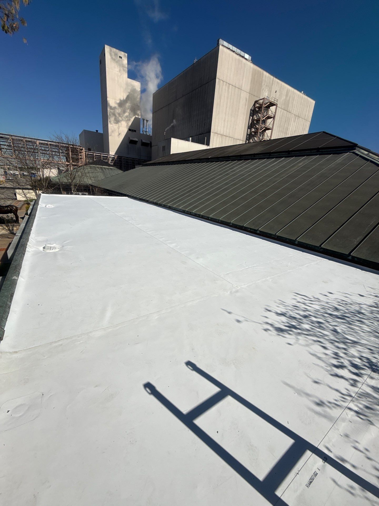 Roof Replacement in Pleasantville Area, Houston TX by Roof Repair Company