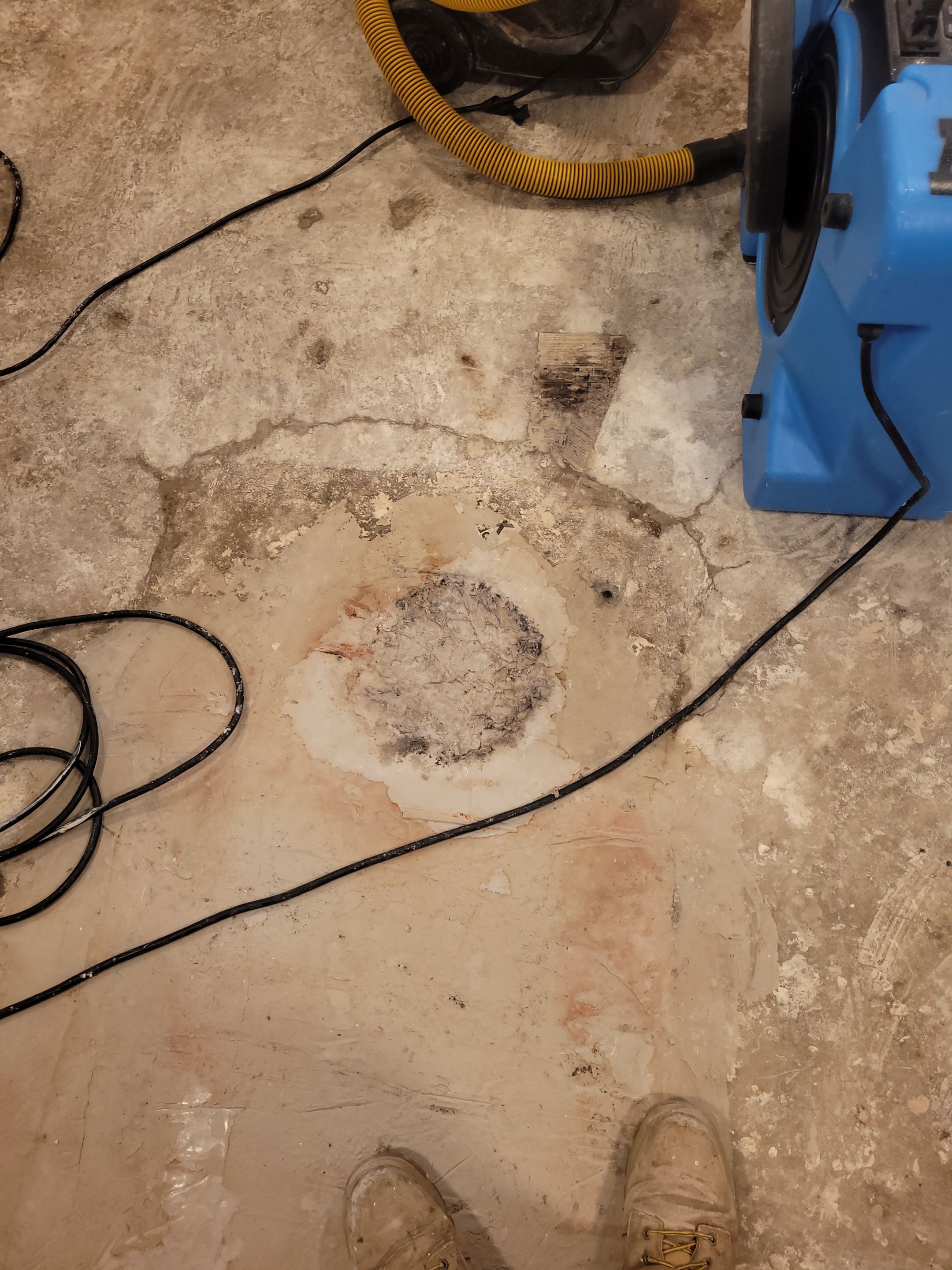 Water Damage and Mold Remediation by Accountable Home Services