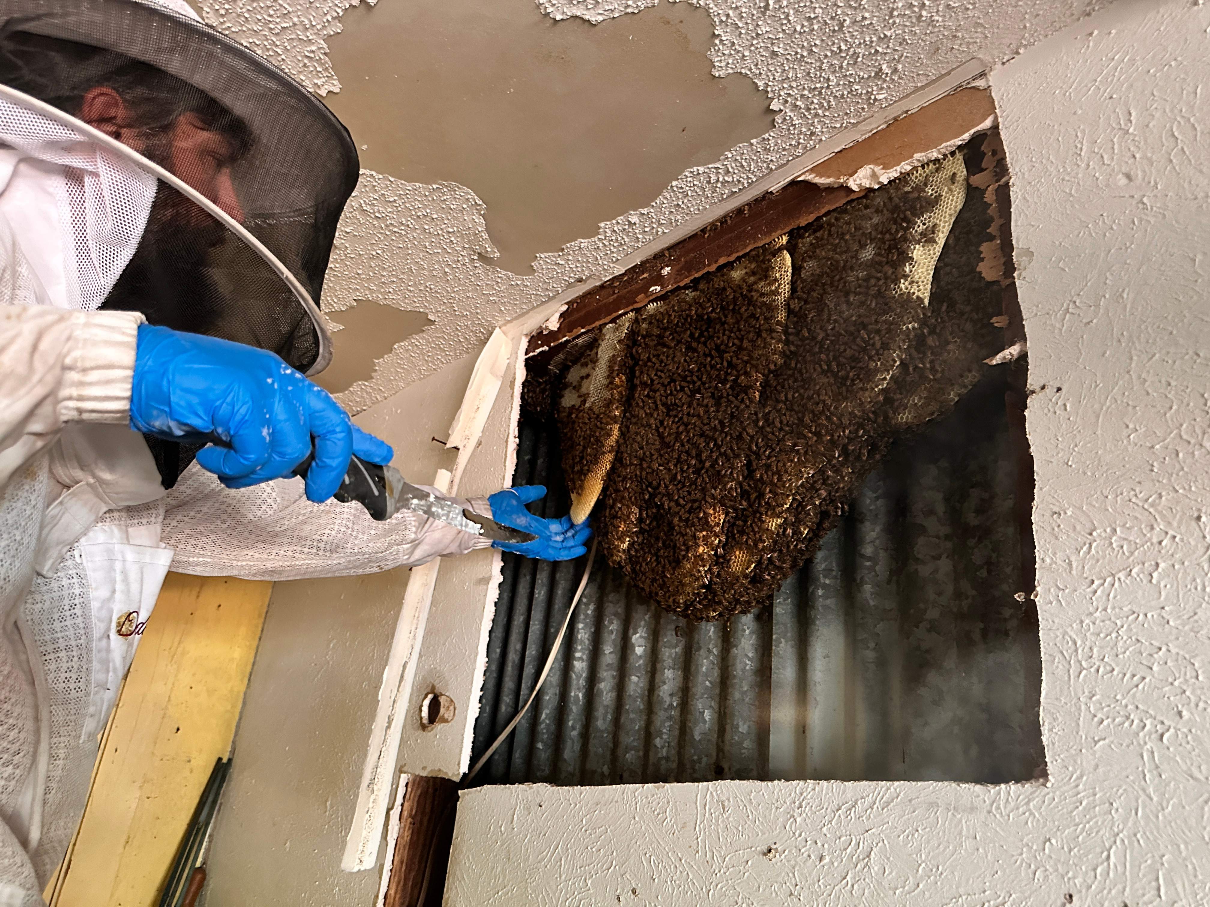 Motorcycle Garage by Rockwall Honey Bee Company