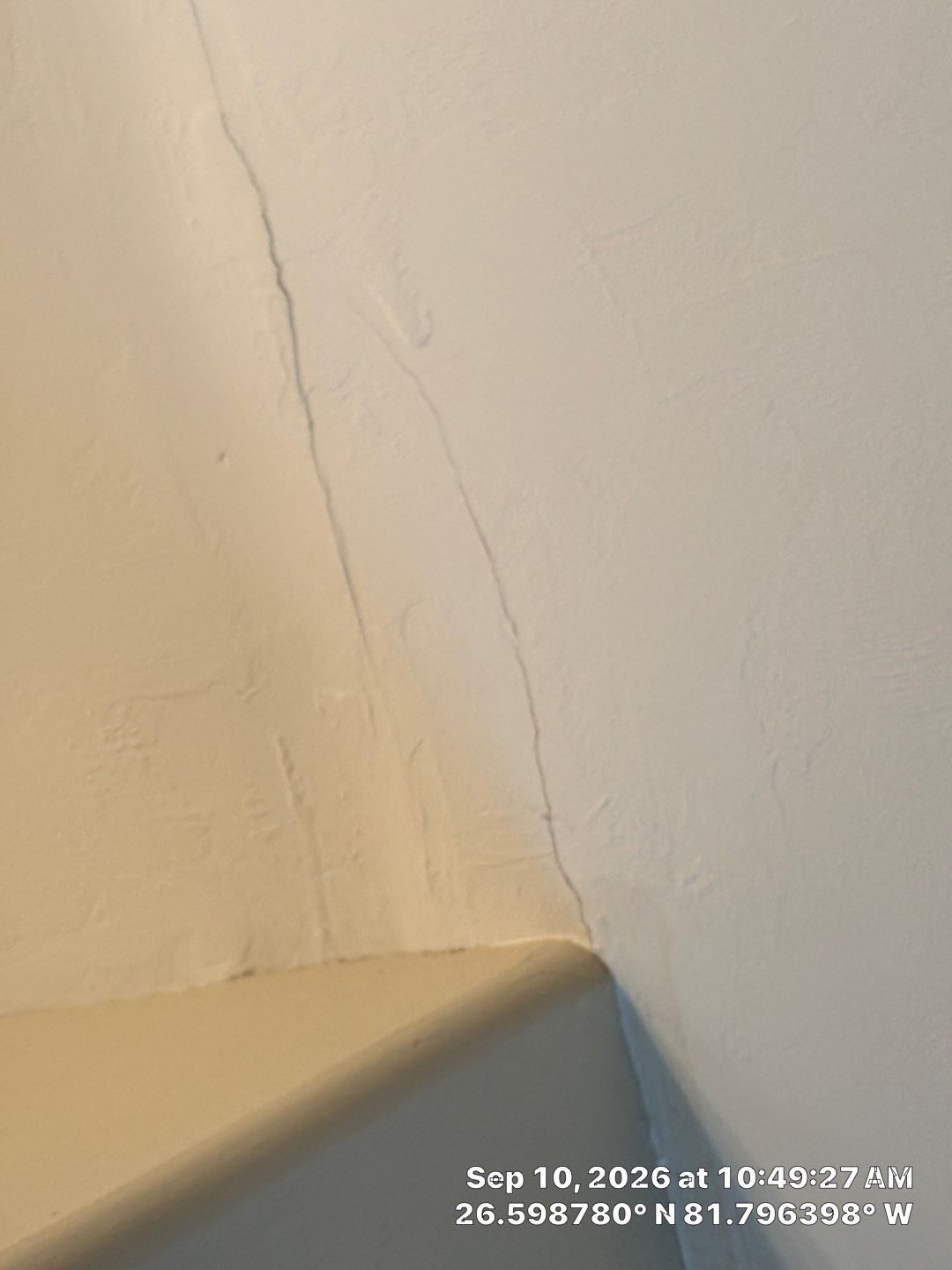 Fort Myers Water Damage Restoration and Professional Mold Remediation by Microscope