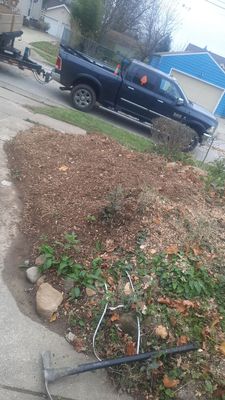 Tree Removal using Tree Removal