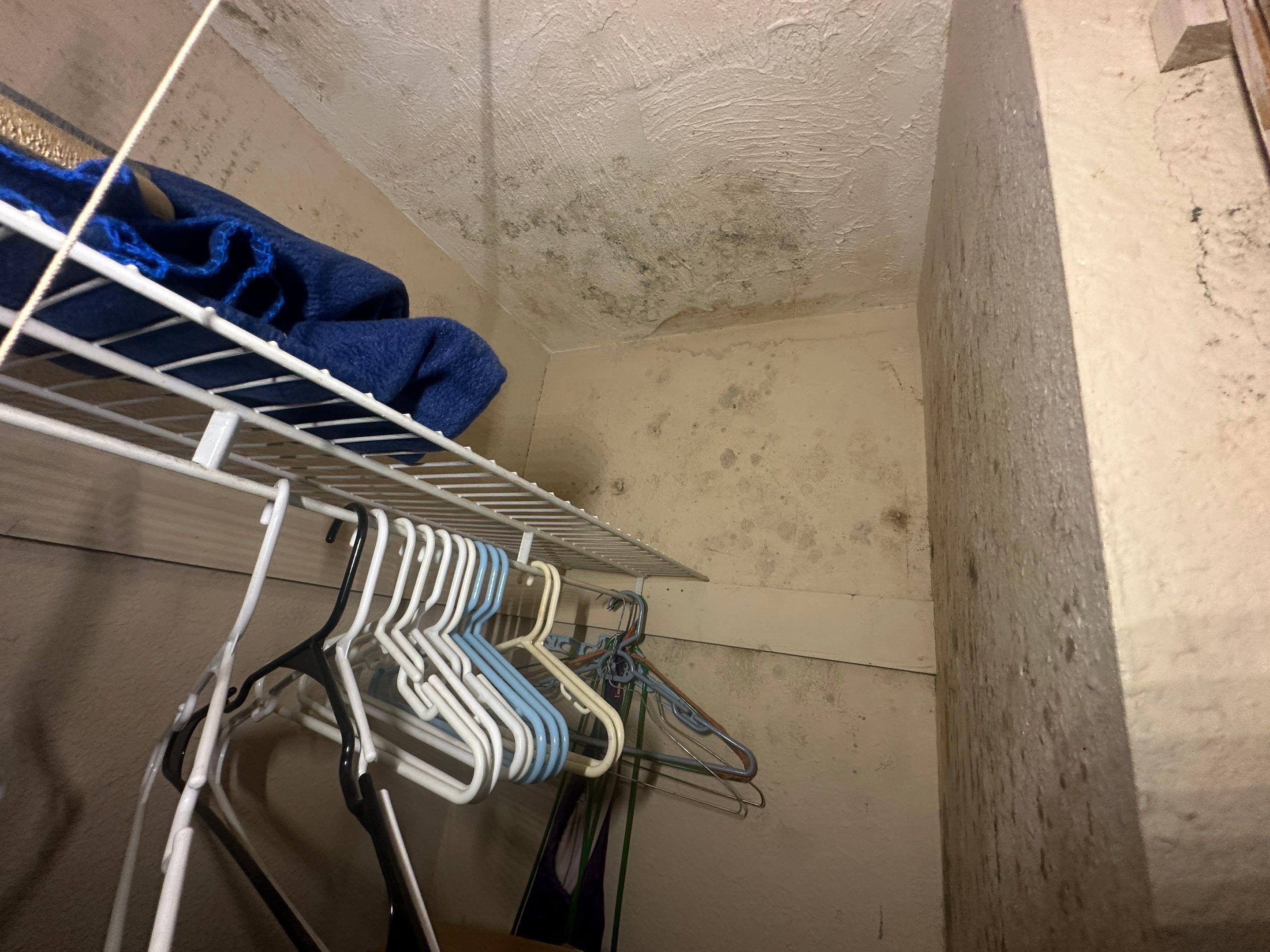 Water Damage Claim in Palmetto, by FLAPA & KeyStone
