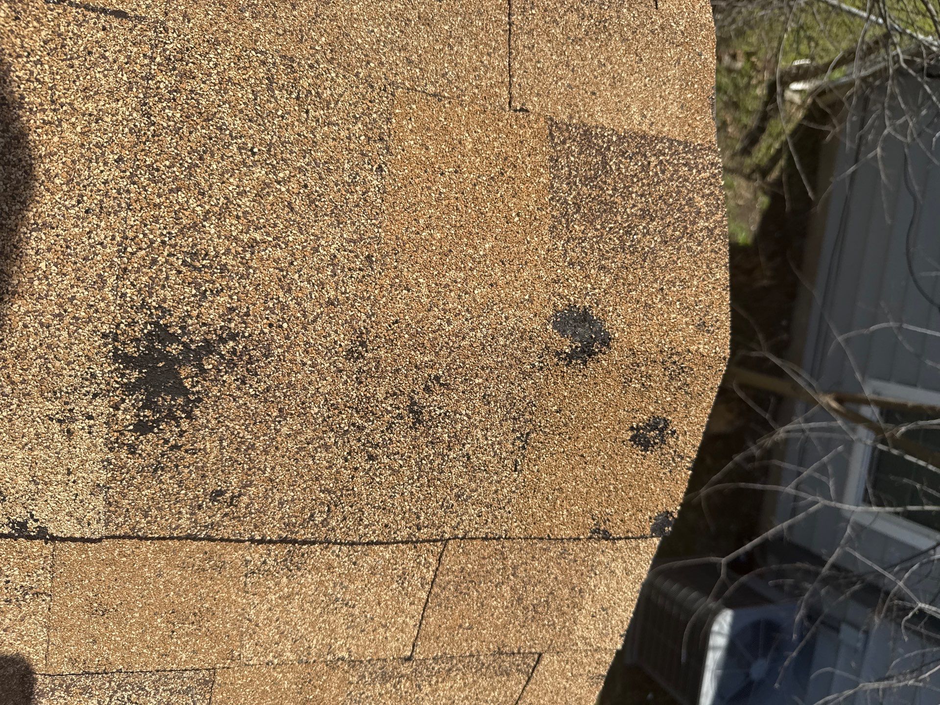 Project by 6D Roofing & Consulting, LLC by 6D Roofing & Consulting, LLC