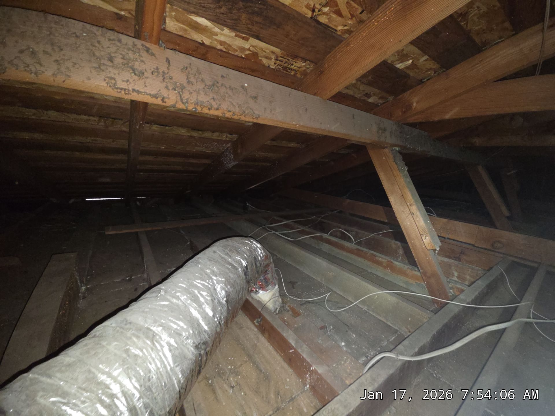 Project in La Mirada by Insulation Labs