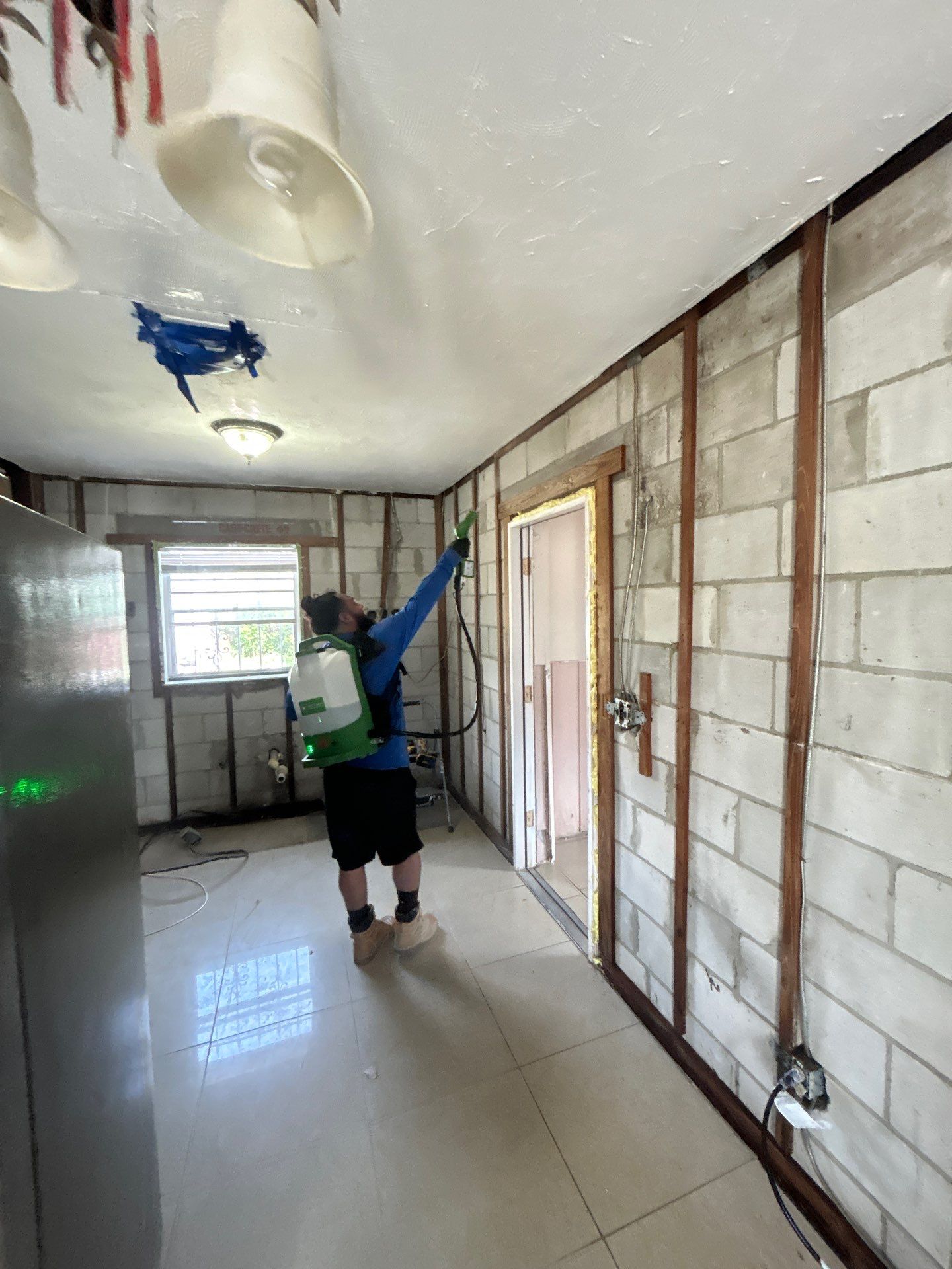 Tampa Mold Removal by Ampm Restoration Services