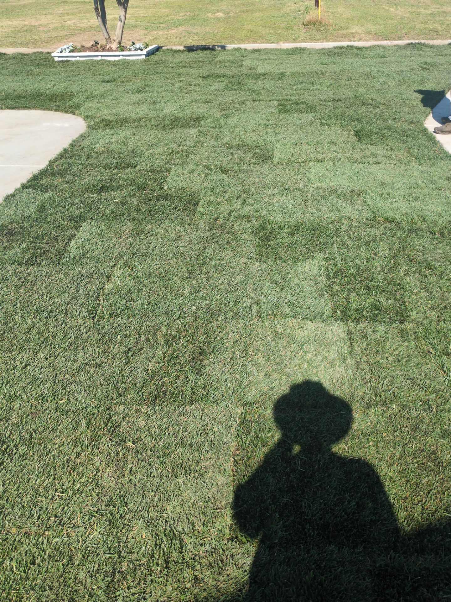 Project in Escalon by A - G Sod Farms