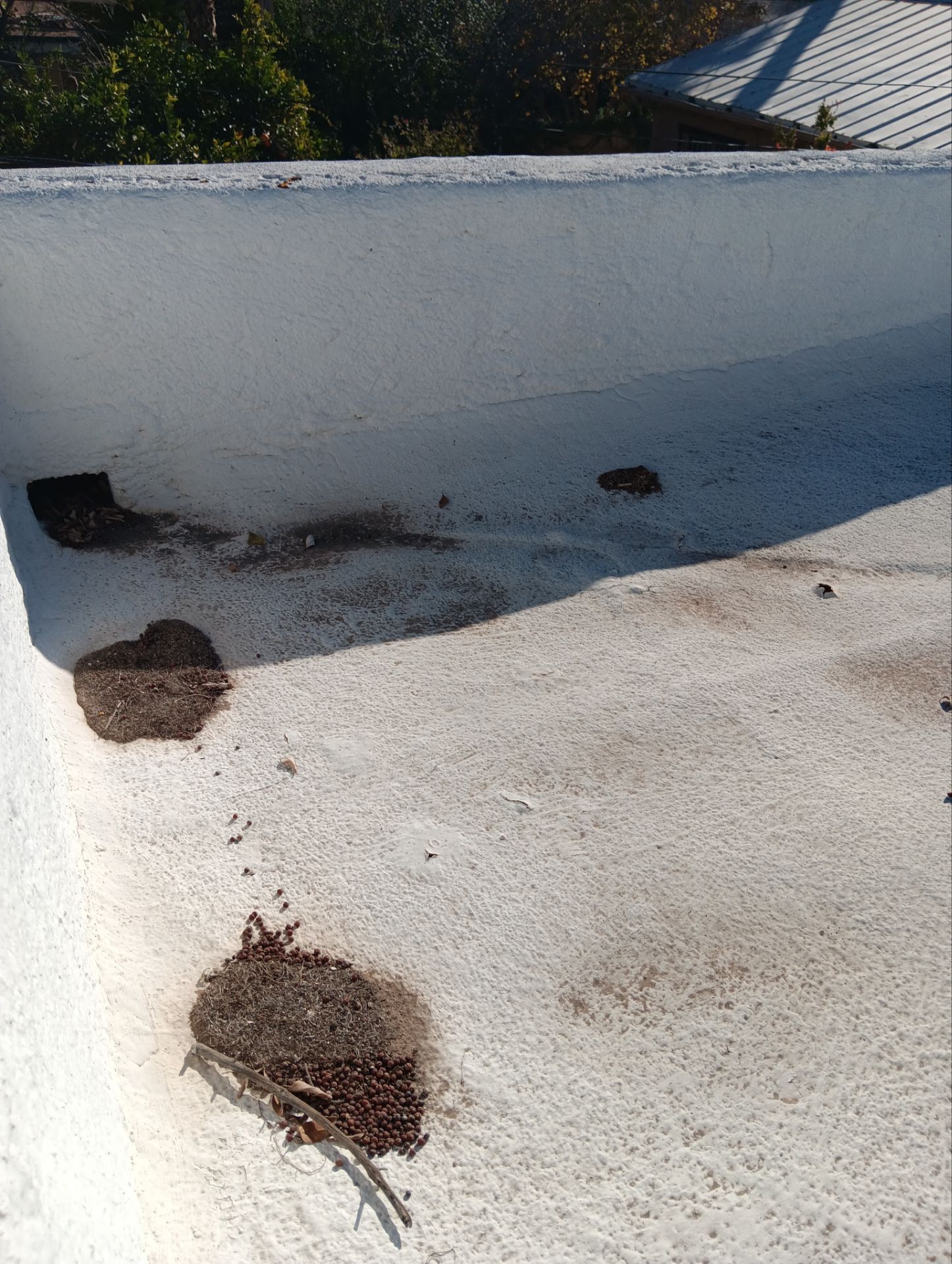 Spray Polyurethane Foam by Reimagine Roofing
