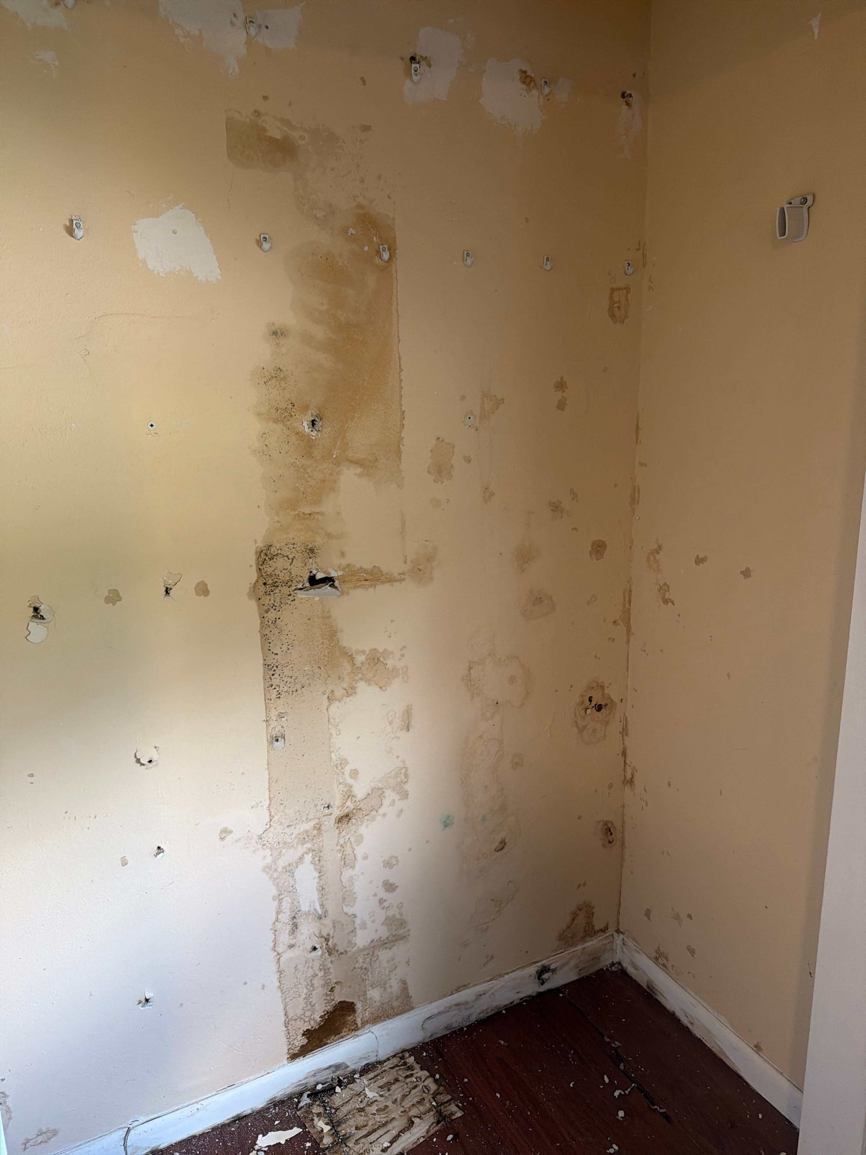 West Palm Beach Mold Remediation and Moisture Assessment by SuperClean 