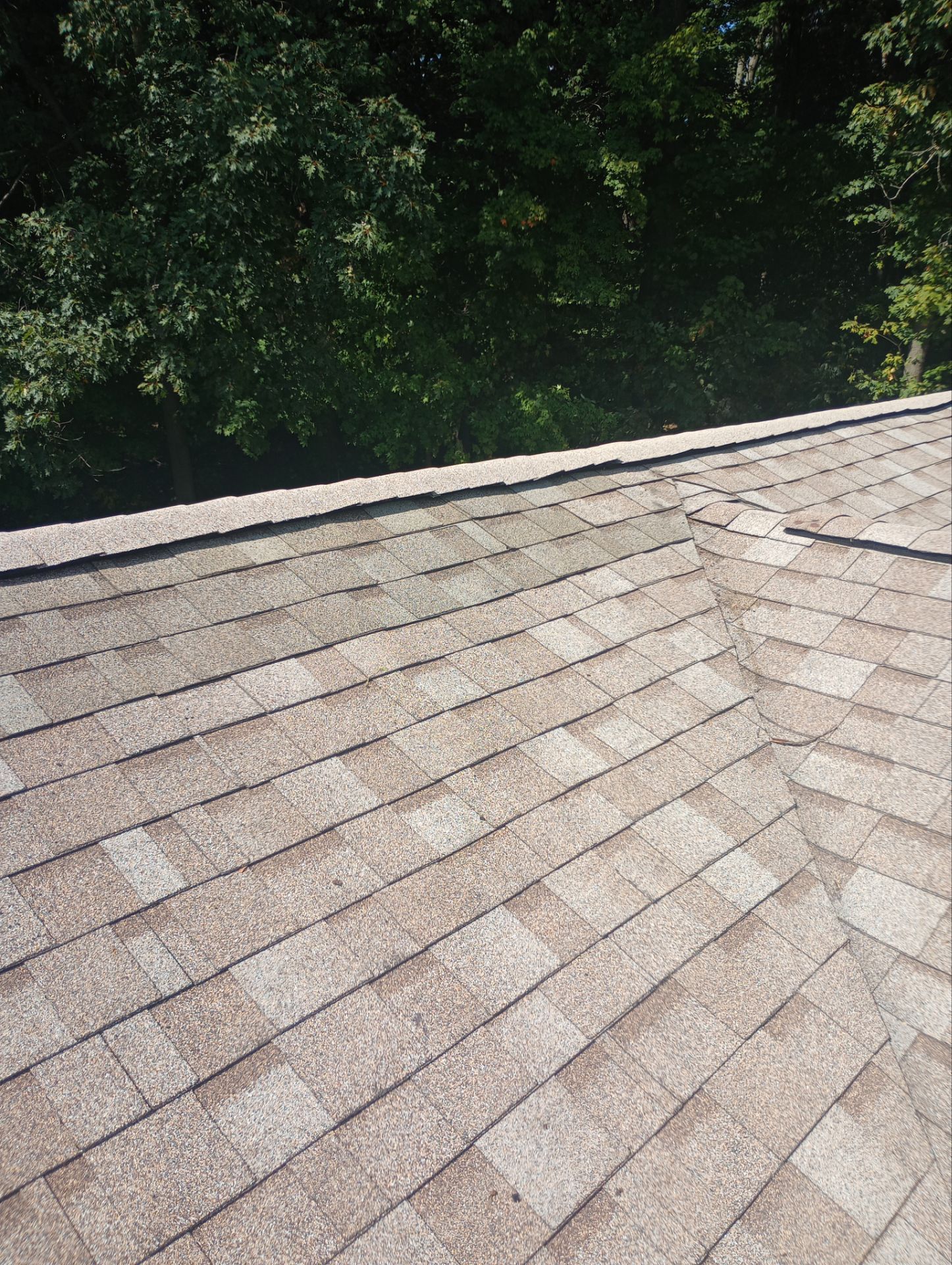 Jen Madaffer by Silver Leaf Contracting 