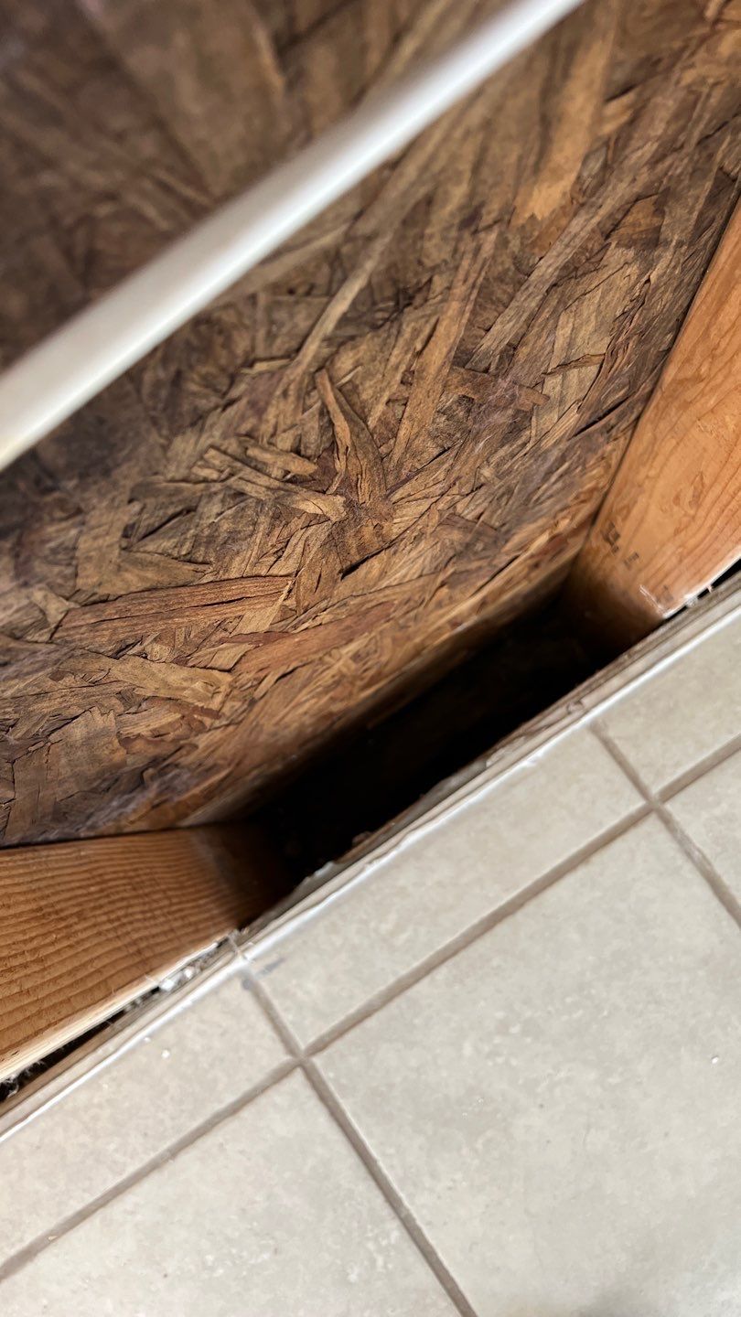 Mold Remediation  by Accountable Home Services