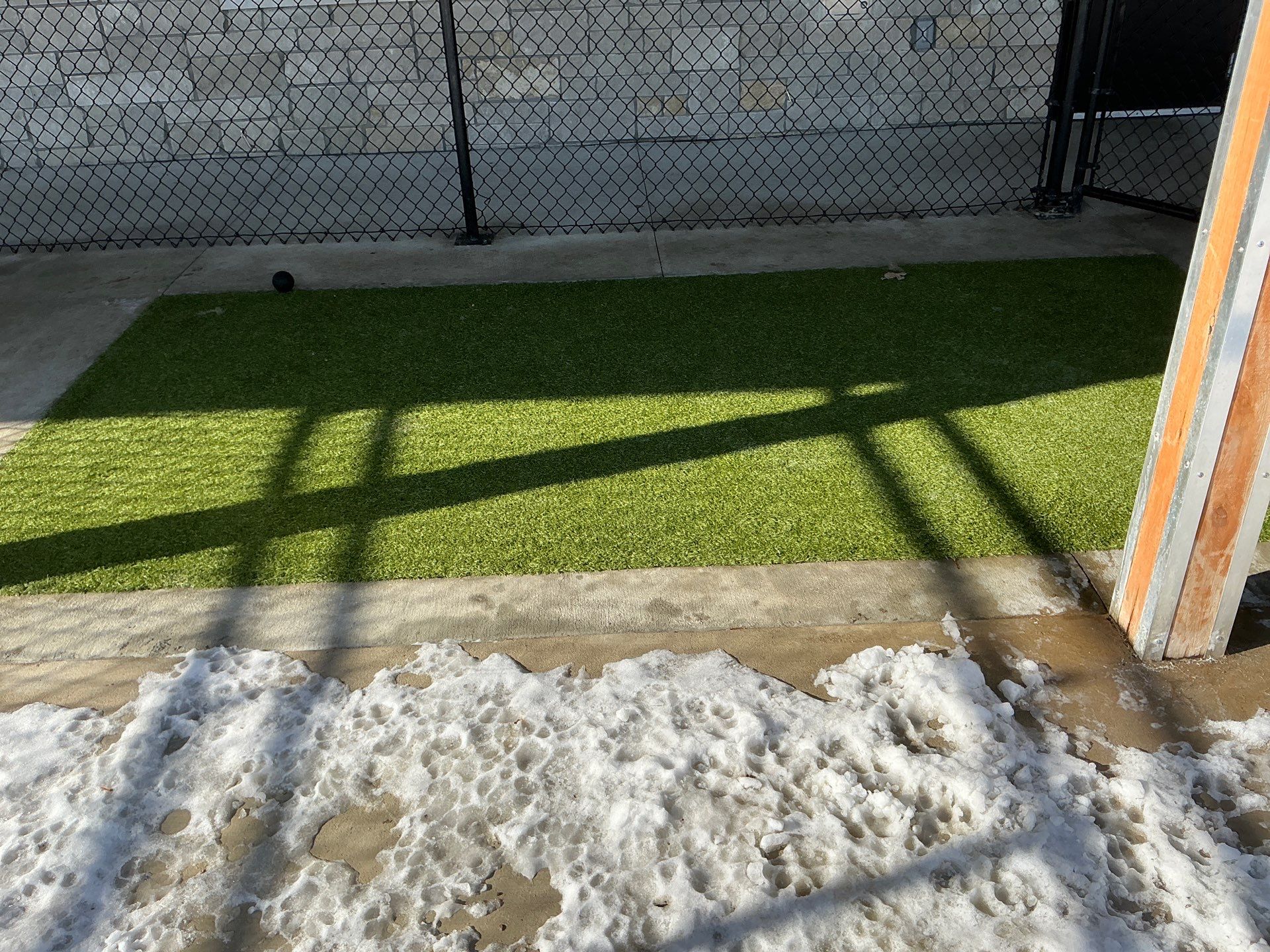 Ultimate Canine Repair by ForeverLawn NEIN/INDY