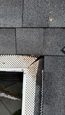 Turtle Shell gutter protection installation in Naperville, IL 60565, photograph 6