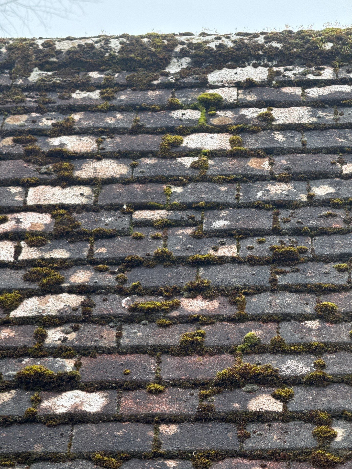 Roof Clean  - Moss Removal - Gutter Clean using Honda 15lpm Low Pressure Washing Machine by Ges Exterior Cleaning ltd