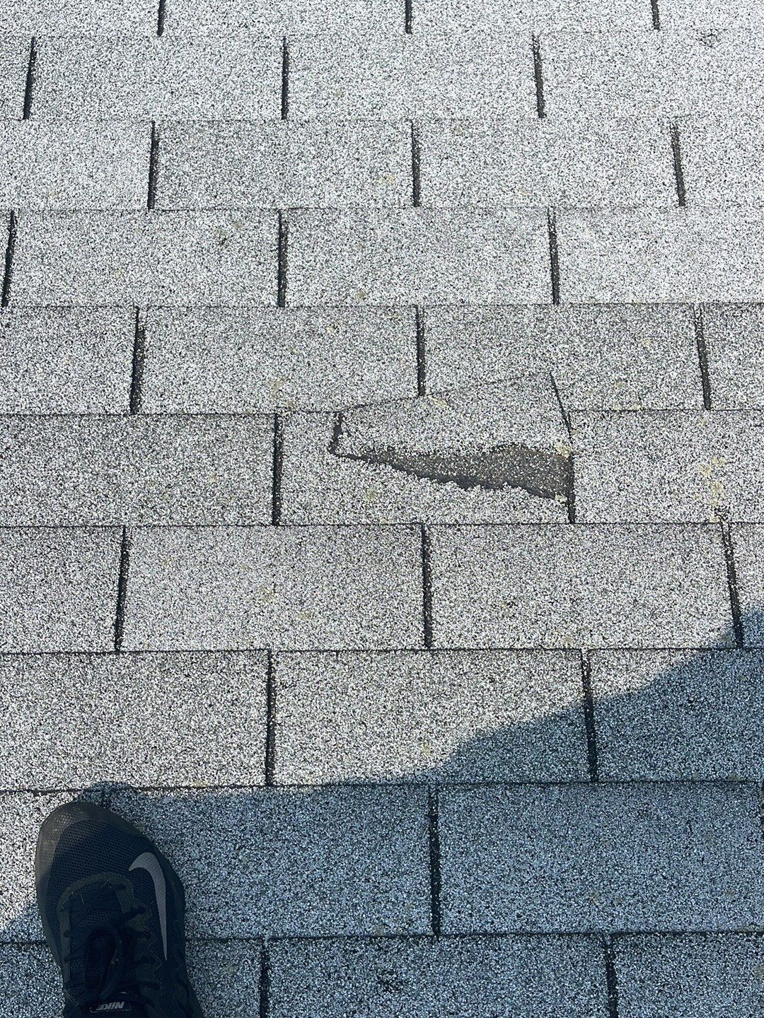 Residential Roof Replacement by Sensible Home Solutions