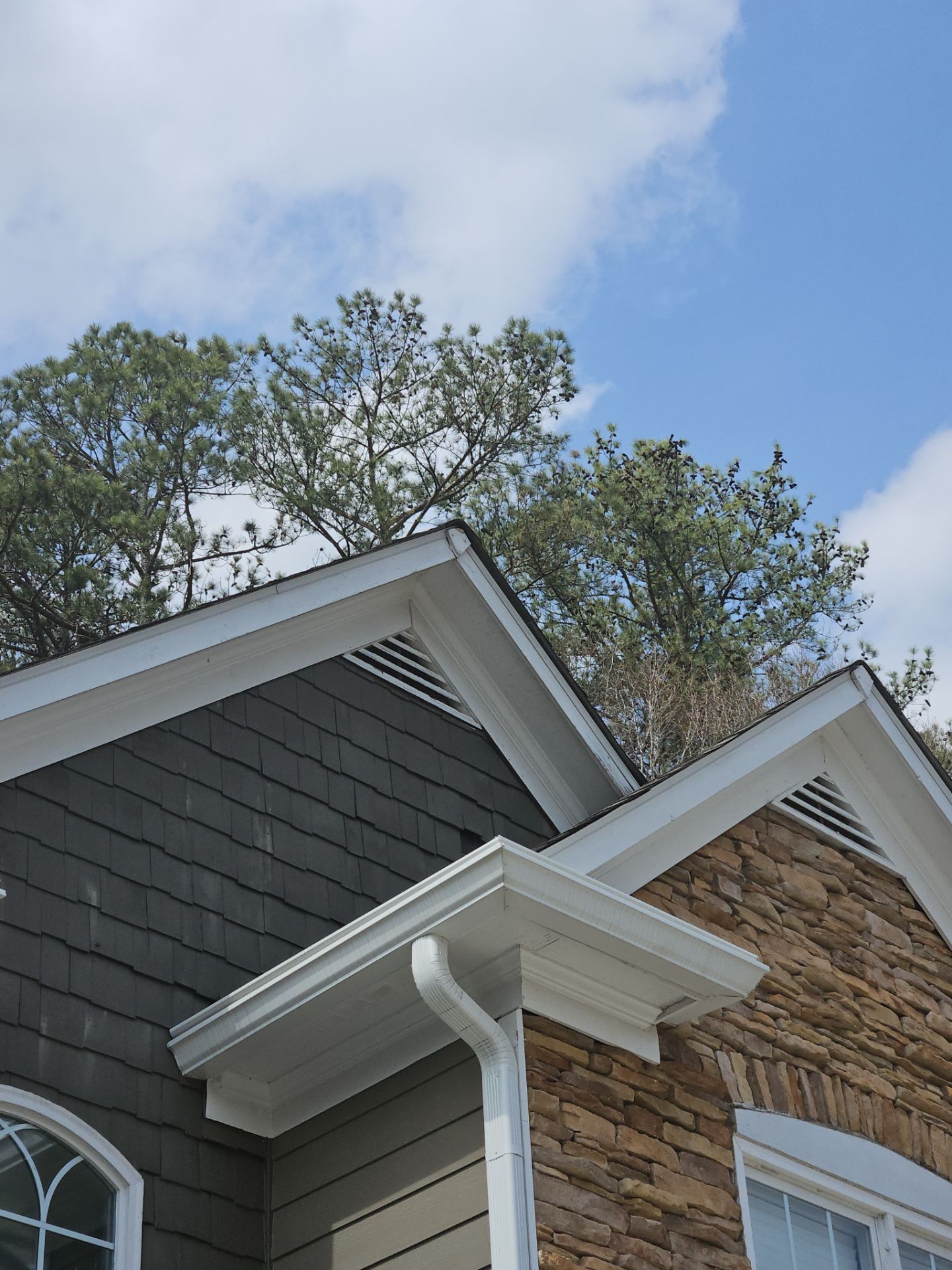 Siding & Rotten Wood Replacement and Exterior Painting by Nelson Exteriors