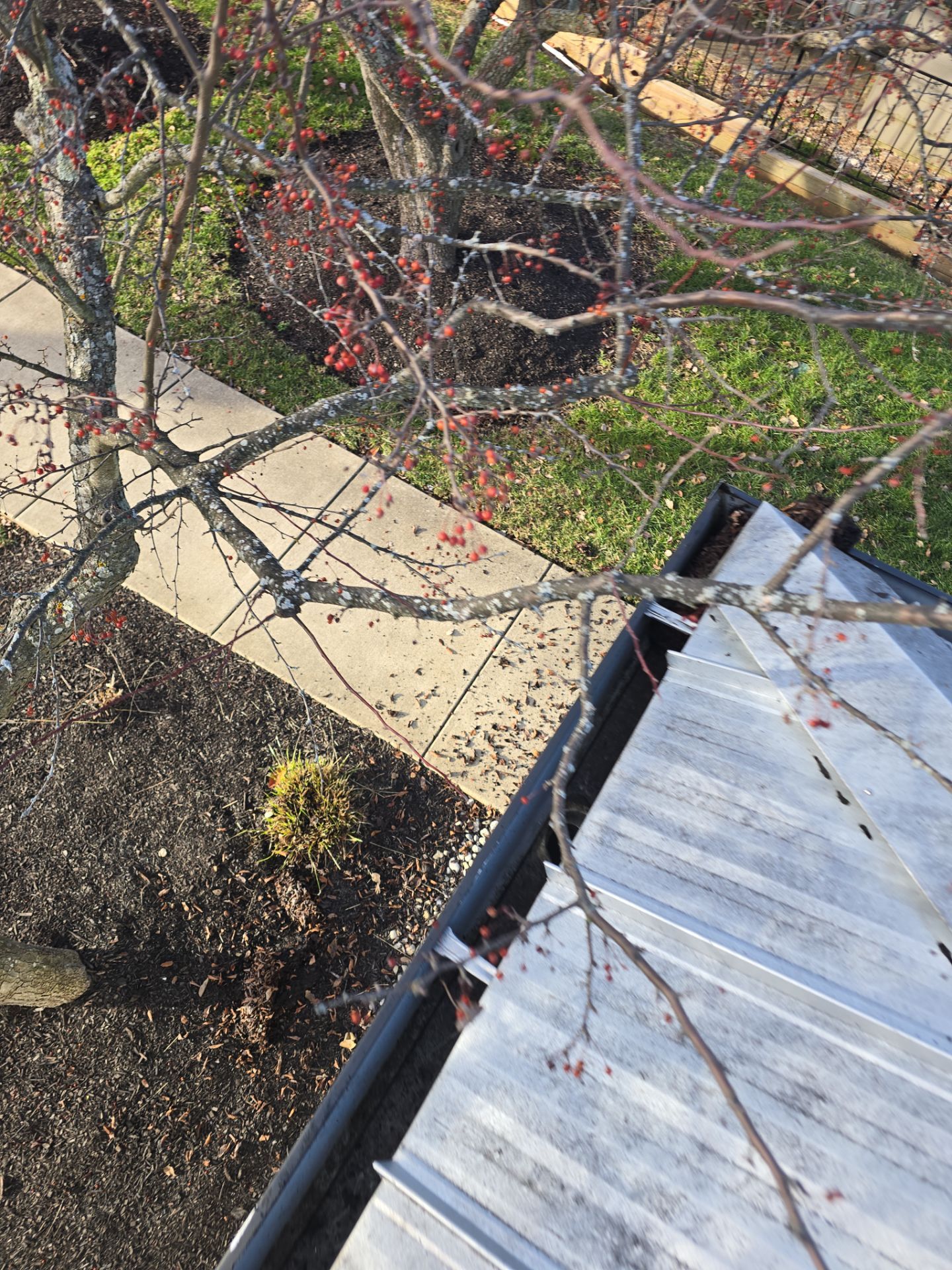 Commercial gutter cleaning Lexington after photo with clean gutters