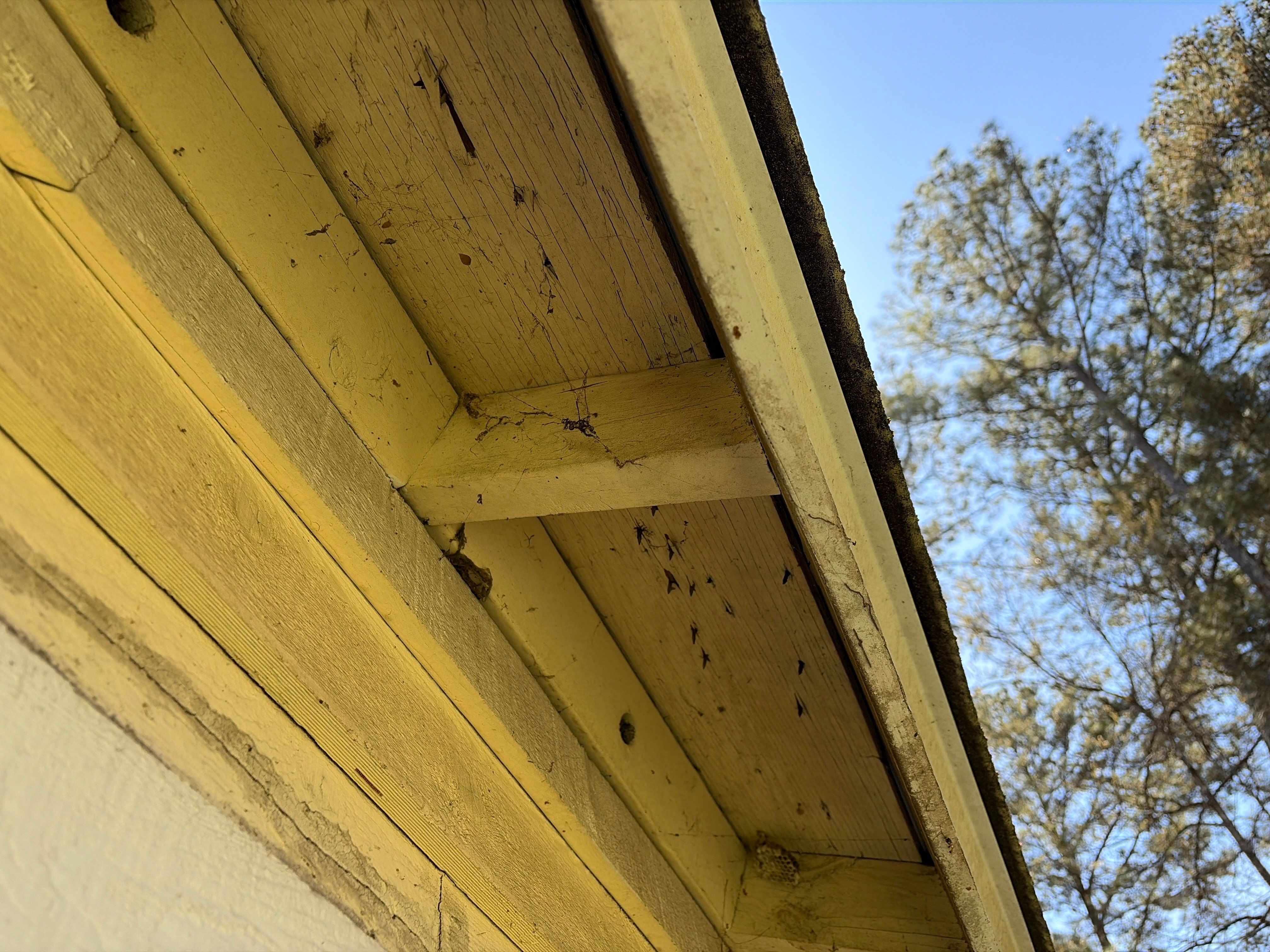 Partial Siding Replacement Using James Hardie Lap Siding by Nelson Exteriors