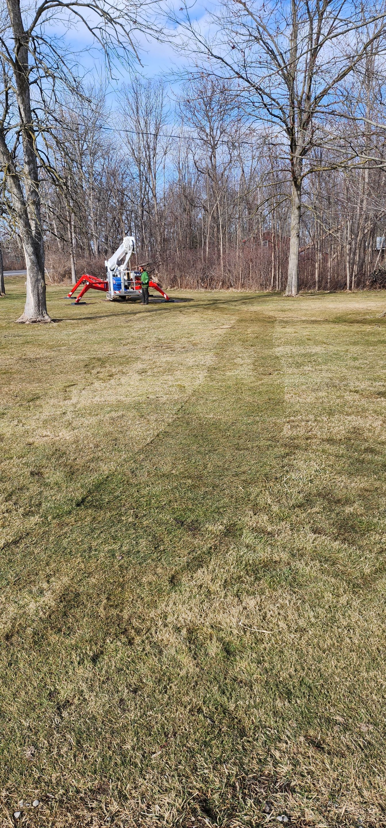 Tree Removal using Ground Protection by Treeman Tom LLC