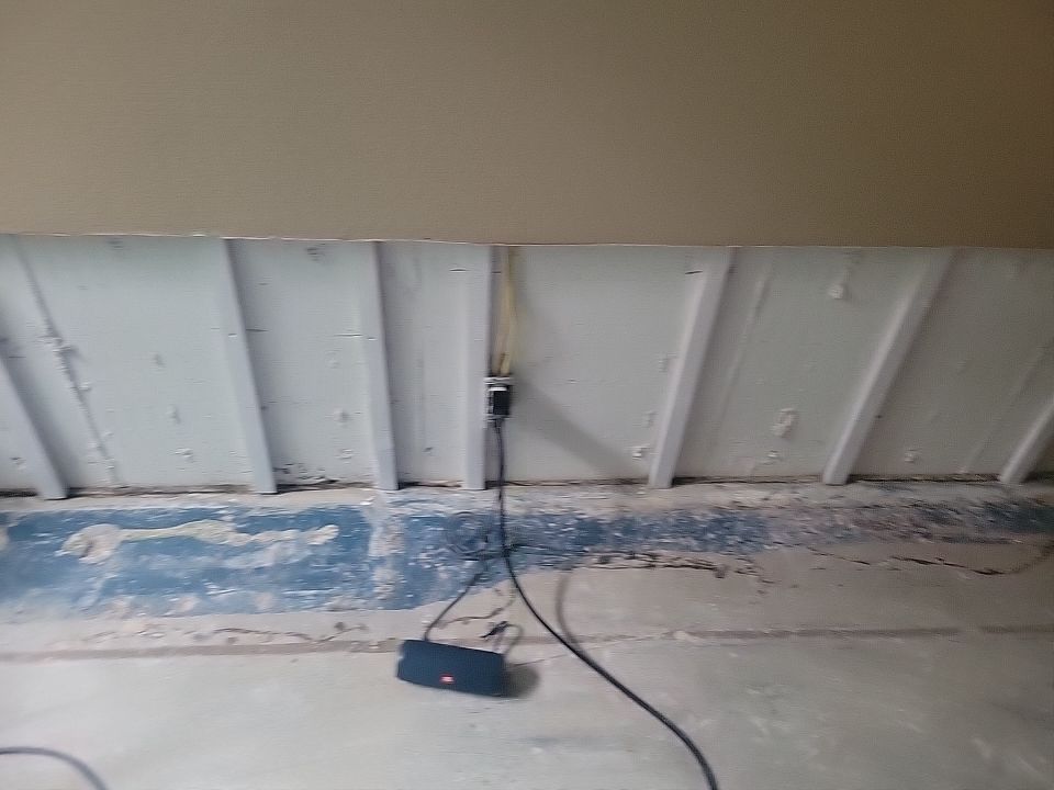 Mold Damage by Accountable Home Services