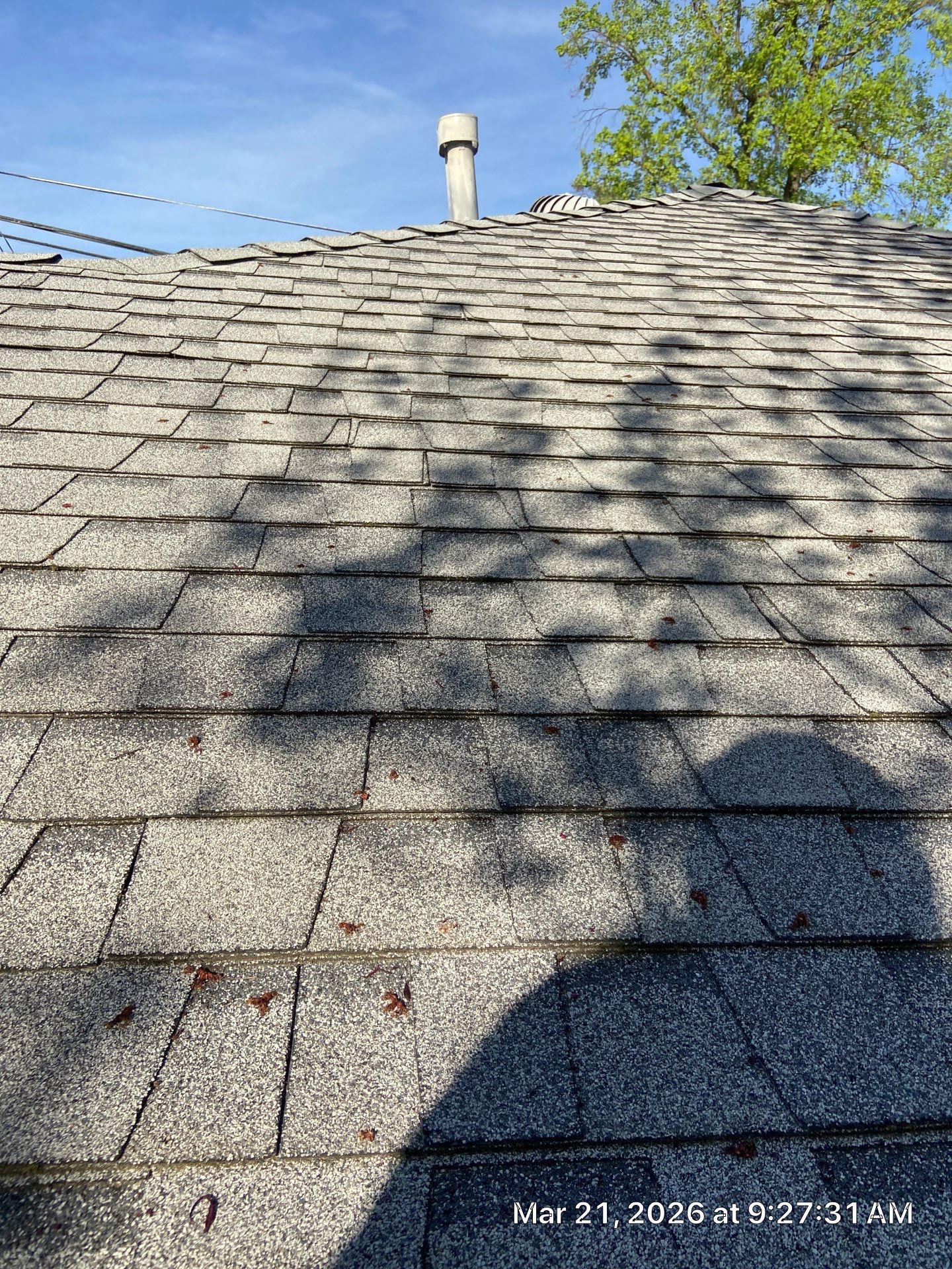Roof Rejuvenation using Roof Maxx Treatment by Roof Maxx of Folsom