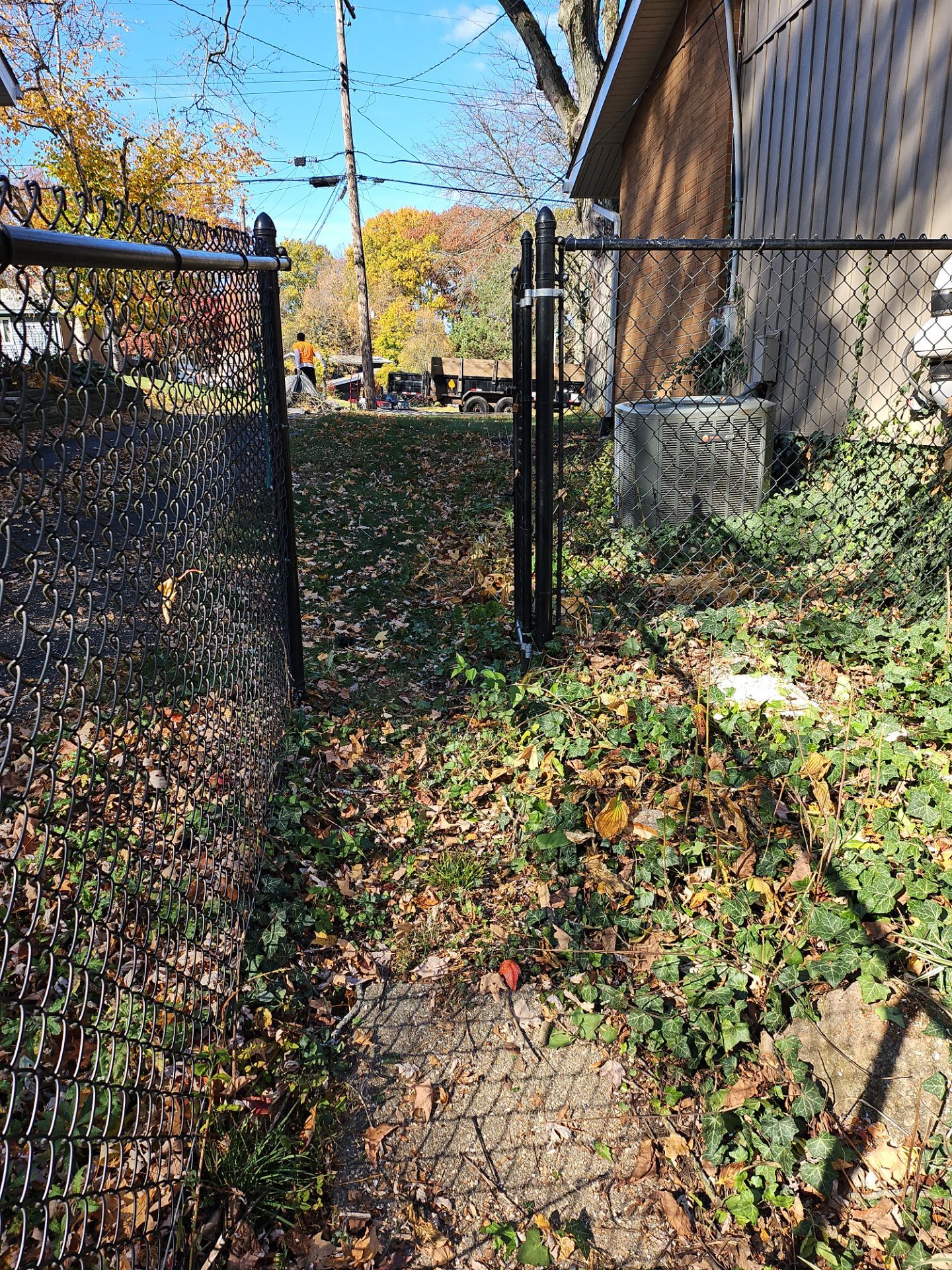 Tree Removal using Tree Removal by Mike Jones & Sons Tree Service LLC 