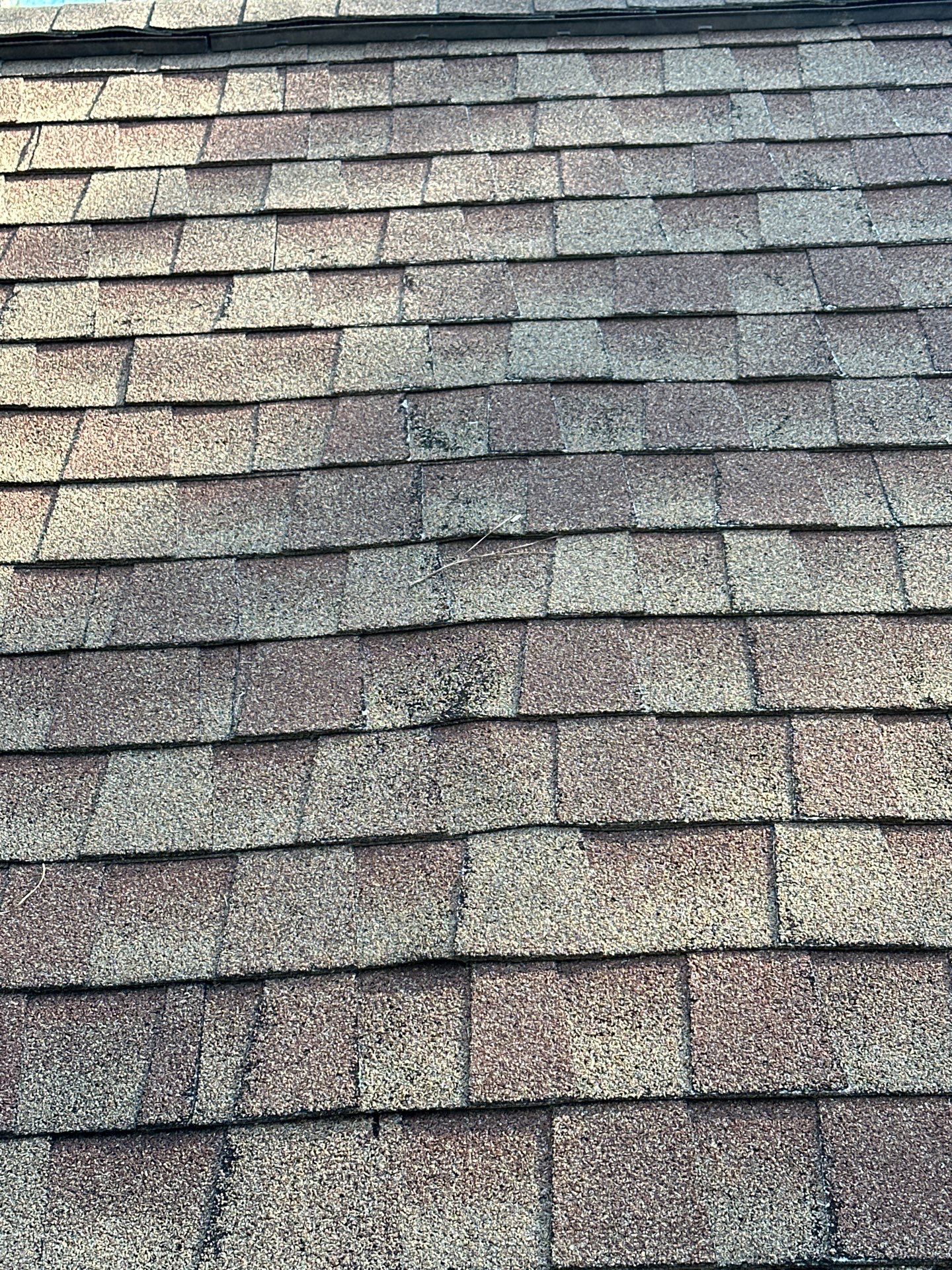 The Cribbs by United Contracting and Roofing