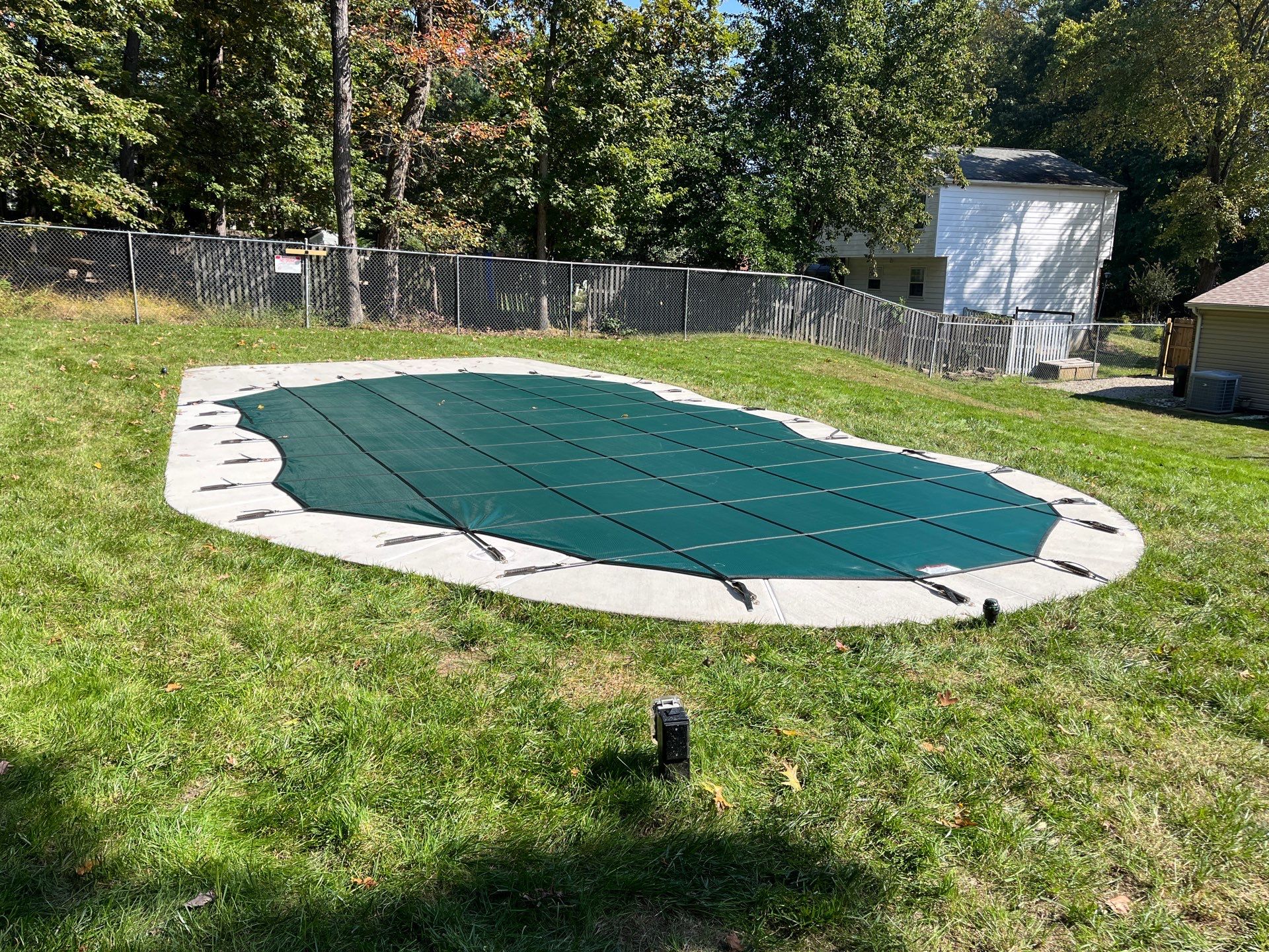 Latham Laguna  by Elysium Pools