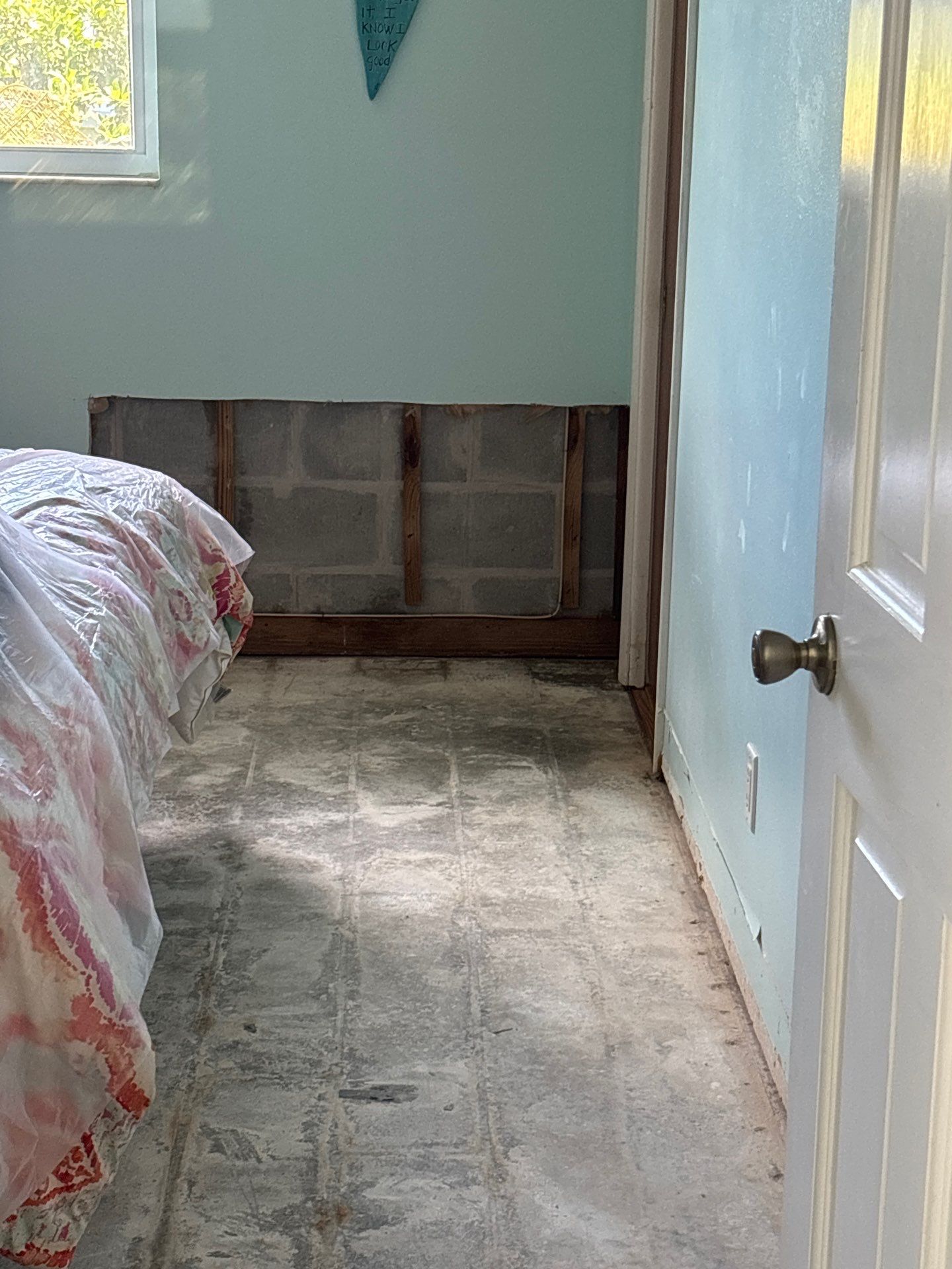Black Mold Removal In Venice Florida by Ampm Restoration Services