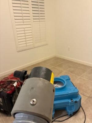 Wet Carpet Drying — Naples, FL