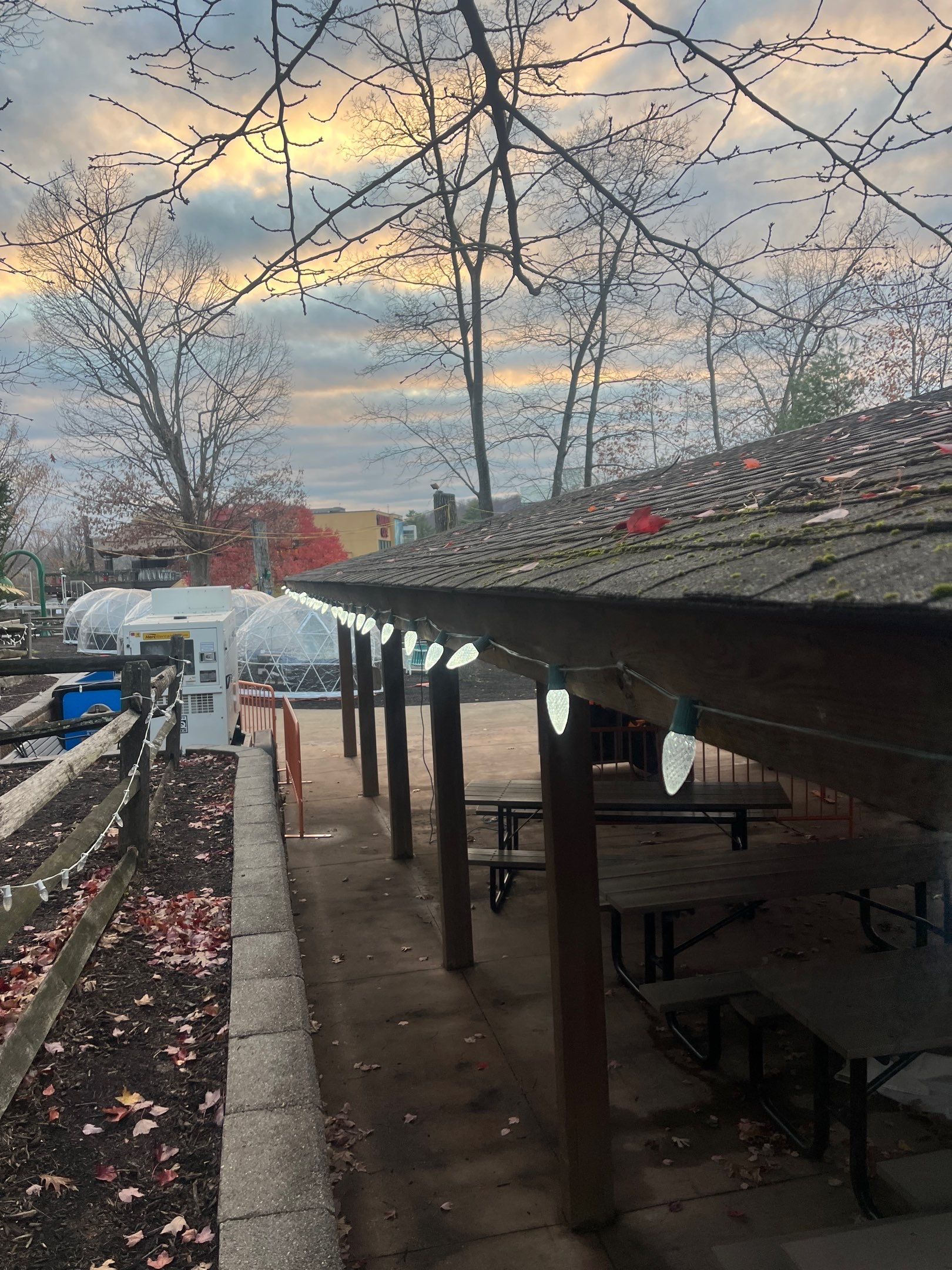 Commercial Holiday Lighting in West Orange, NJ by Clearview Washing