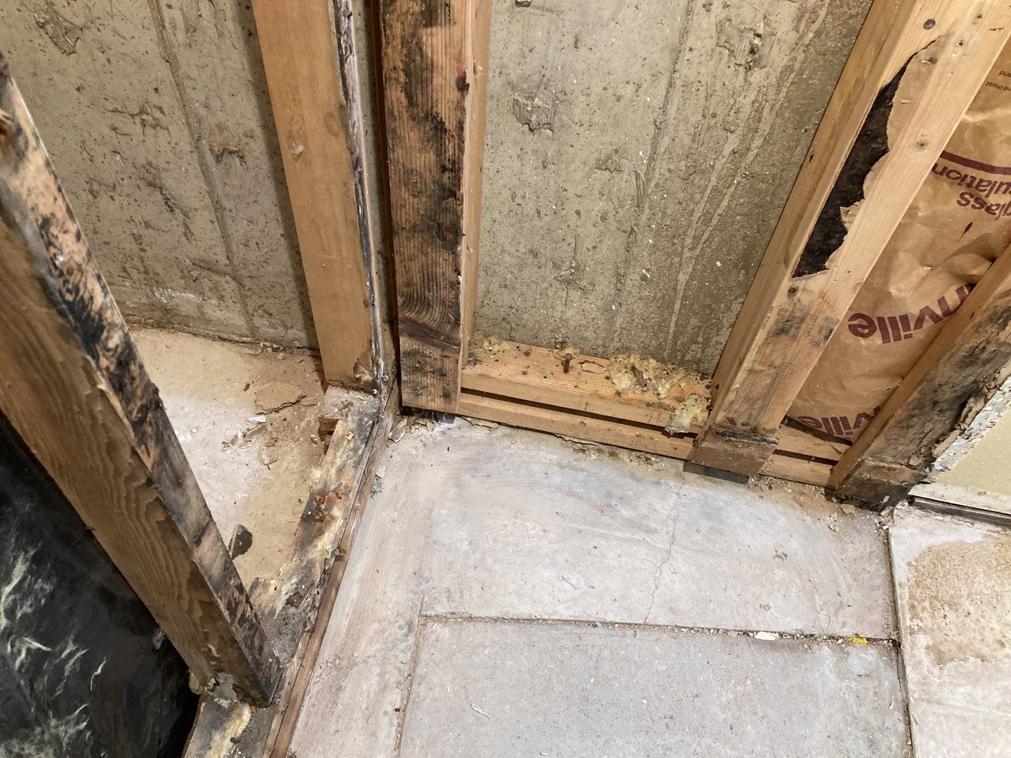 Mold Remediation by Accountable Home Services