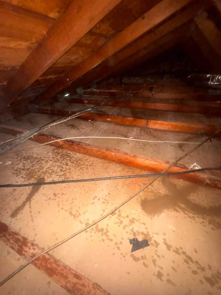 Project in Newport Beach by Advanced Attic Solutions