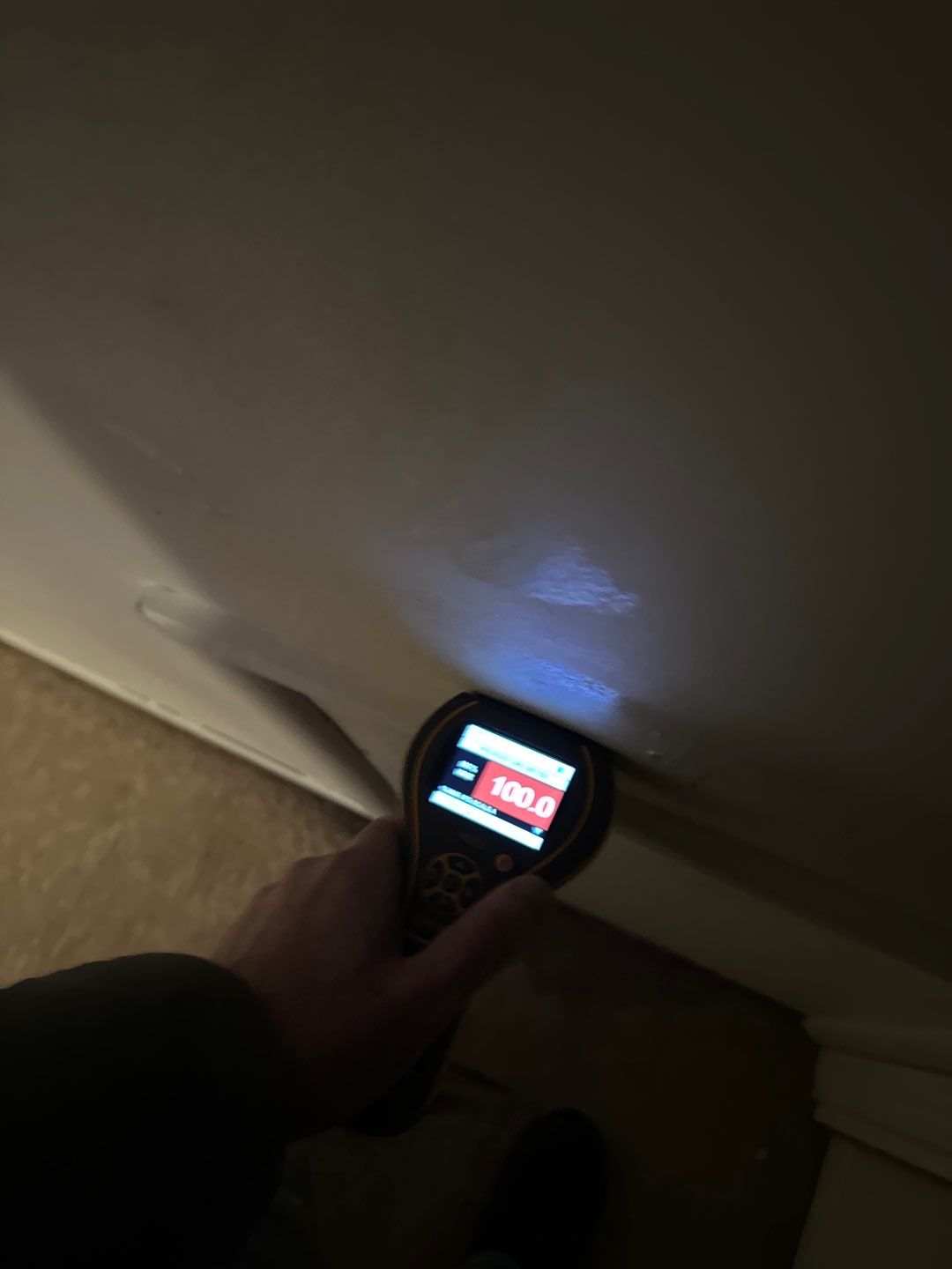 Project in Farmington Hills by EzDry Water Mitigation & Property Restoration